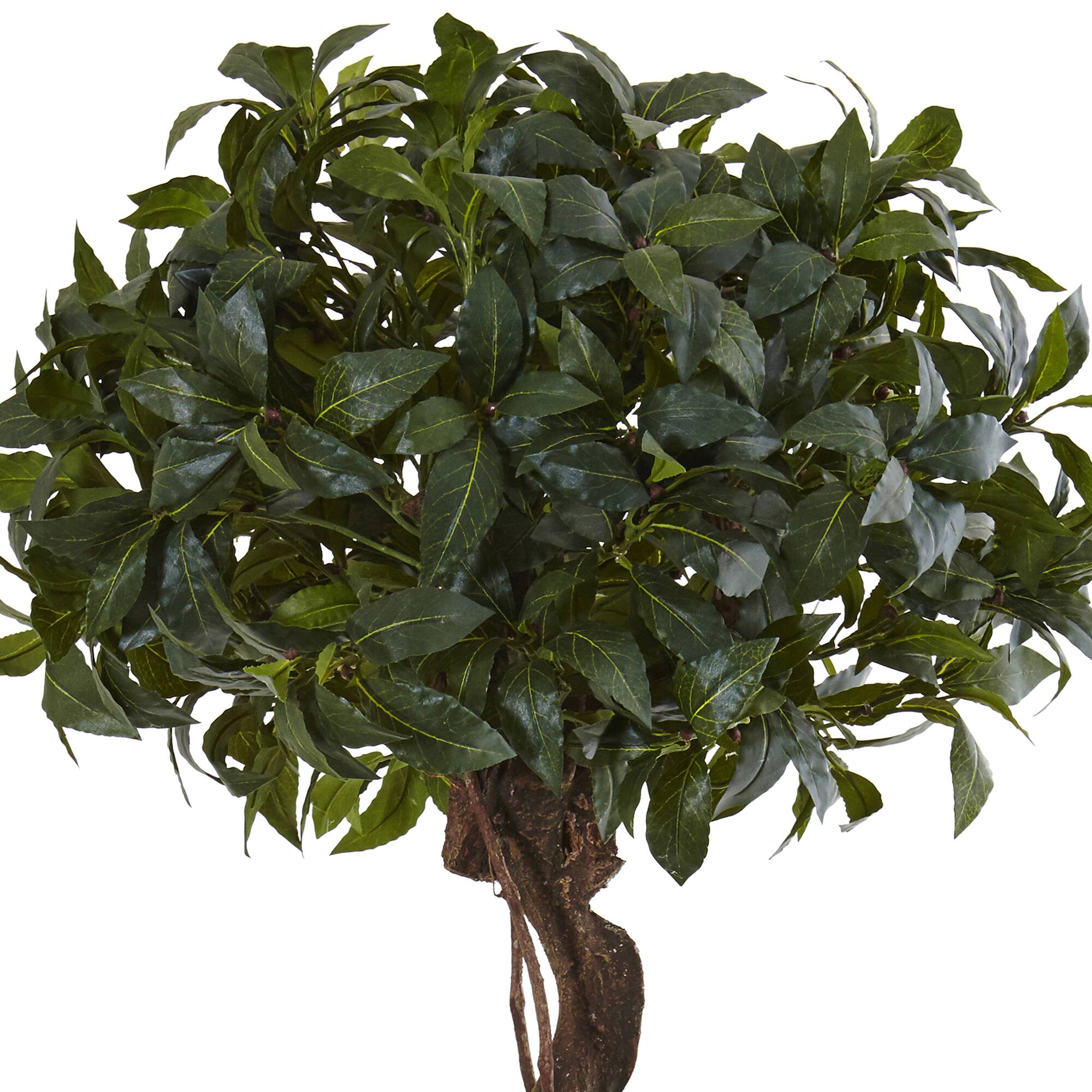 4.5ft. Sweet Bay Double Topiary Tree in Farmhouse Planter