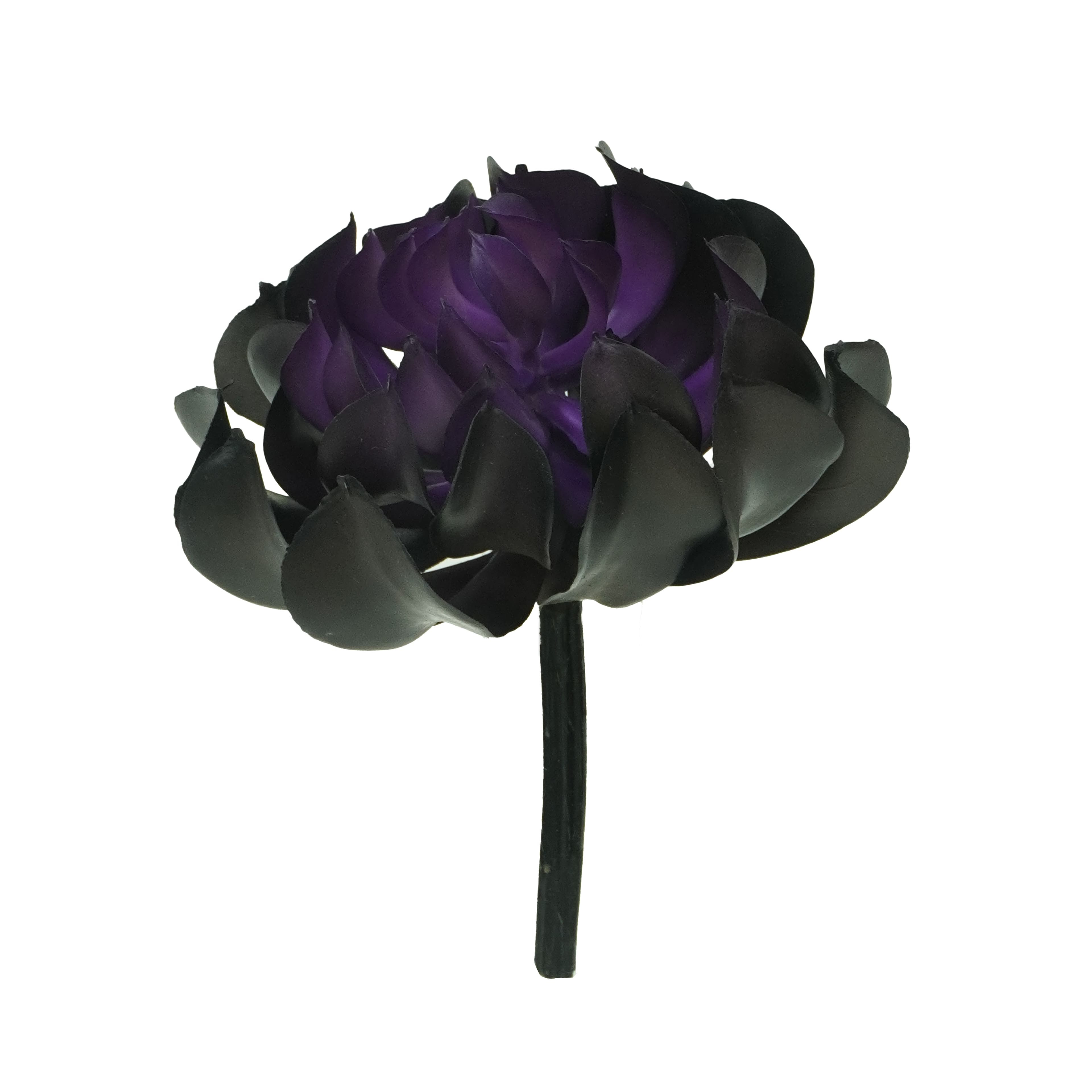 Halloween 5.5&#x22; Black &#x26; Purple Succulent Pick by Ashland&#xAE;