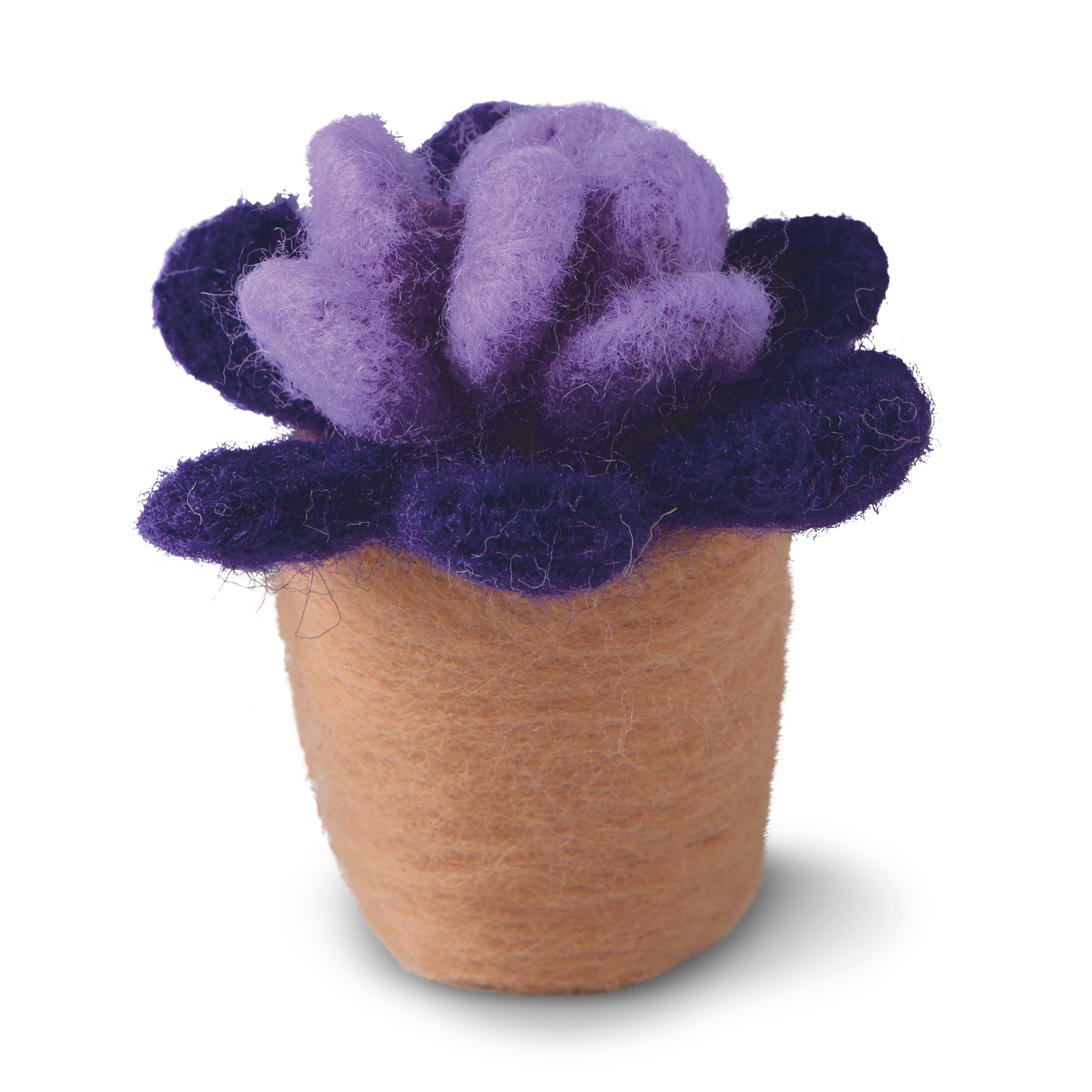 Succulent Felting Kit by Loops &#x26; Threads&#xAE;