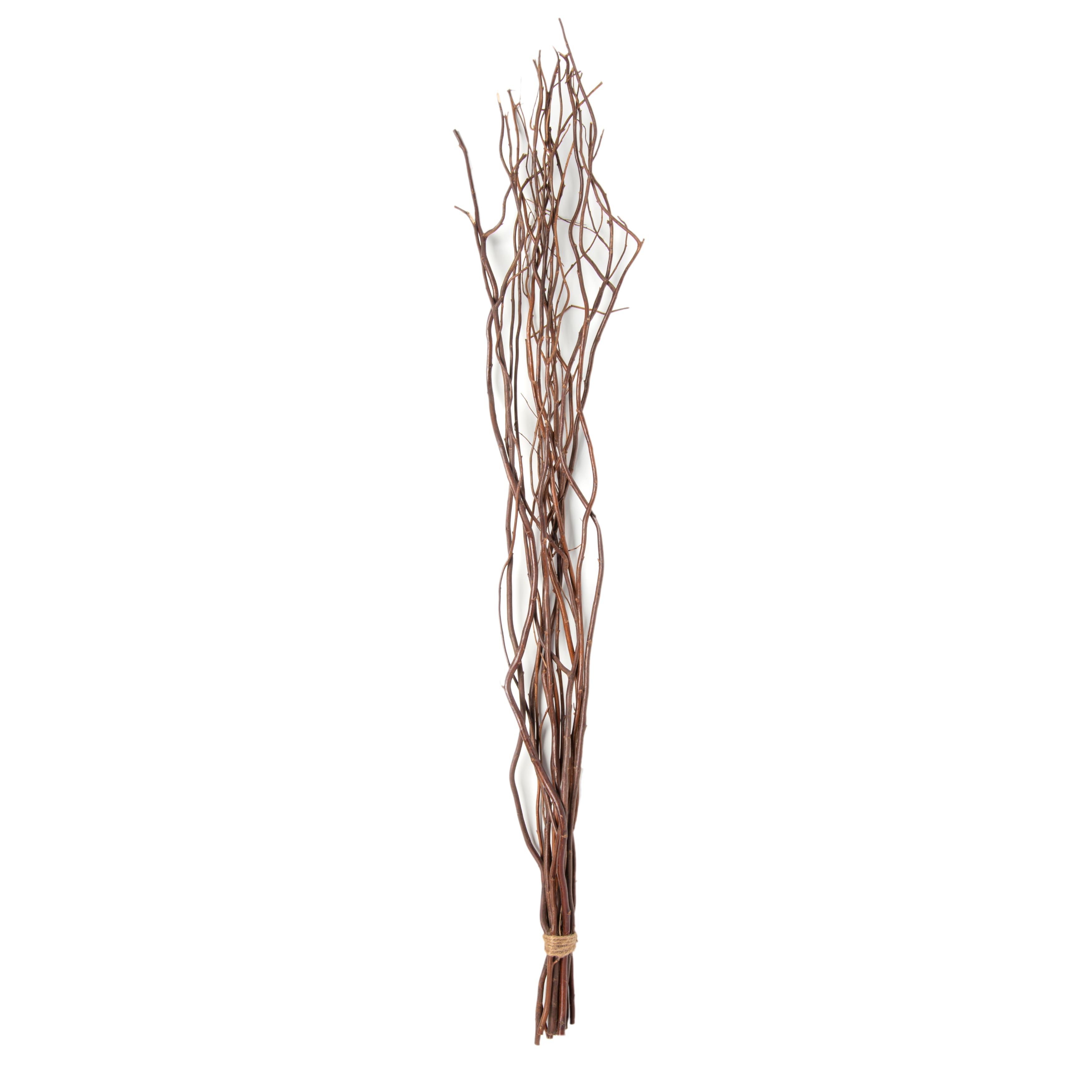 12 Pack: Natural Curly Willow by Ashland&#xAE;