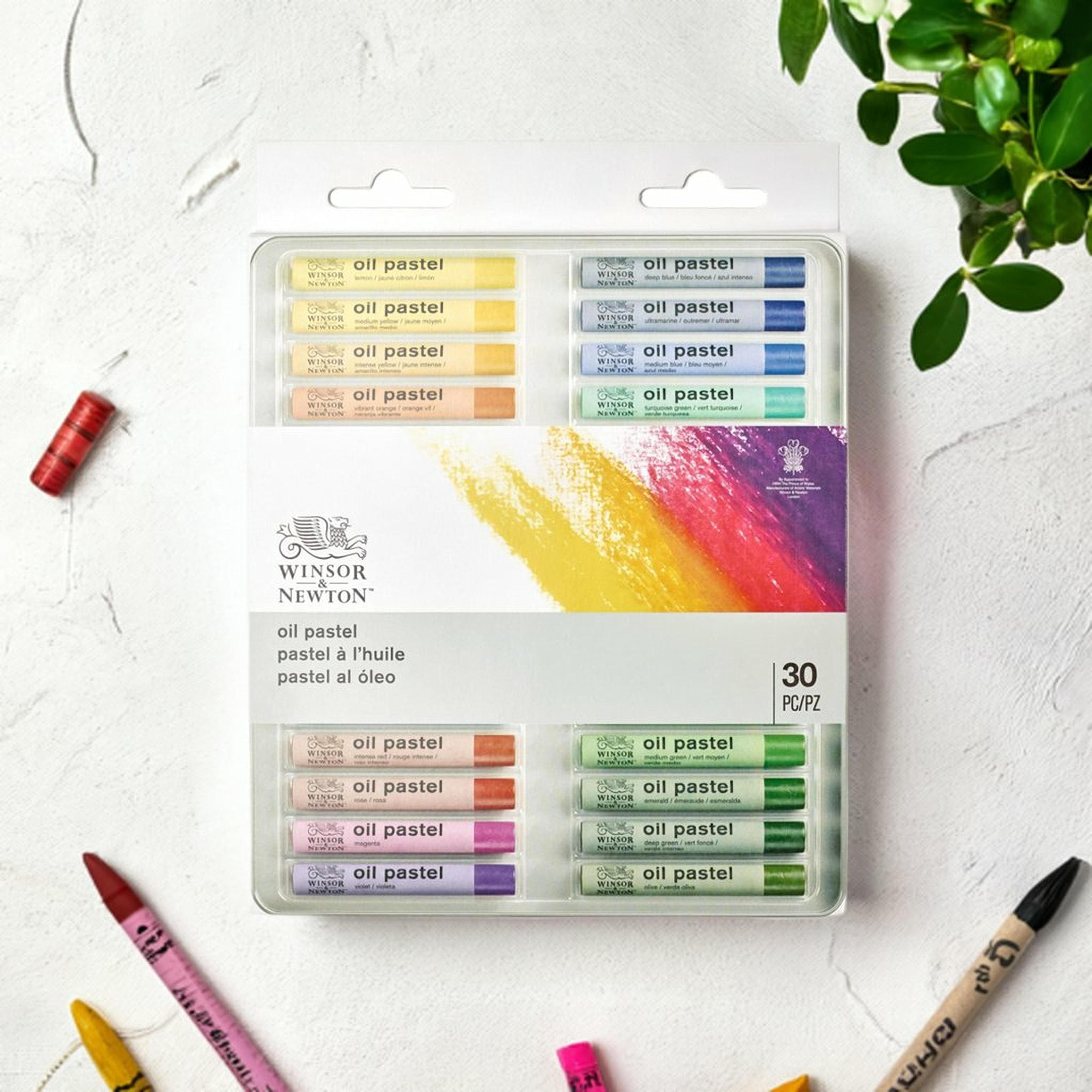 Winsor & Newton™ Introduction to Fine Art 30 Piece Oil Pastel Set