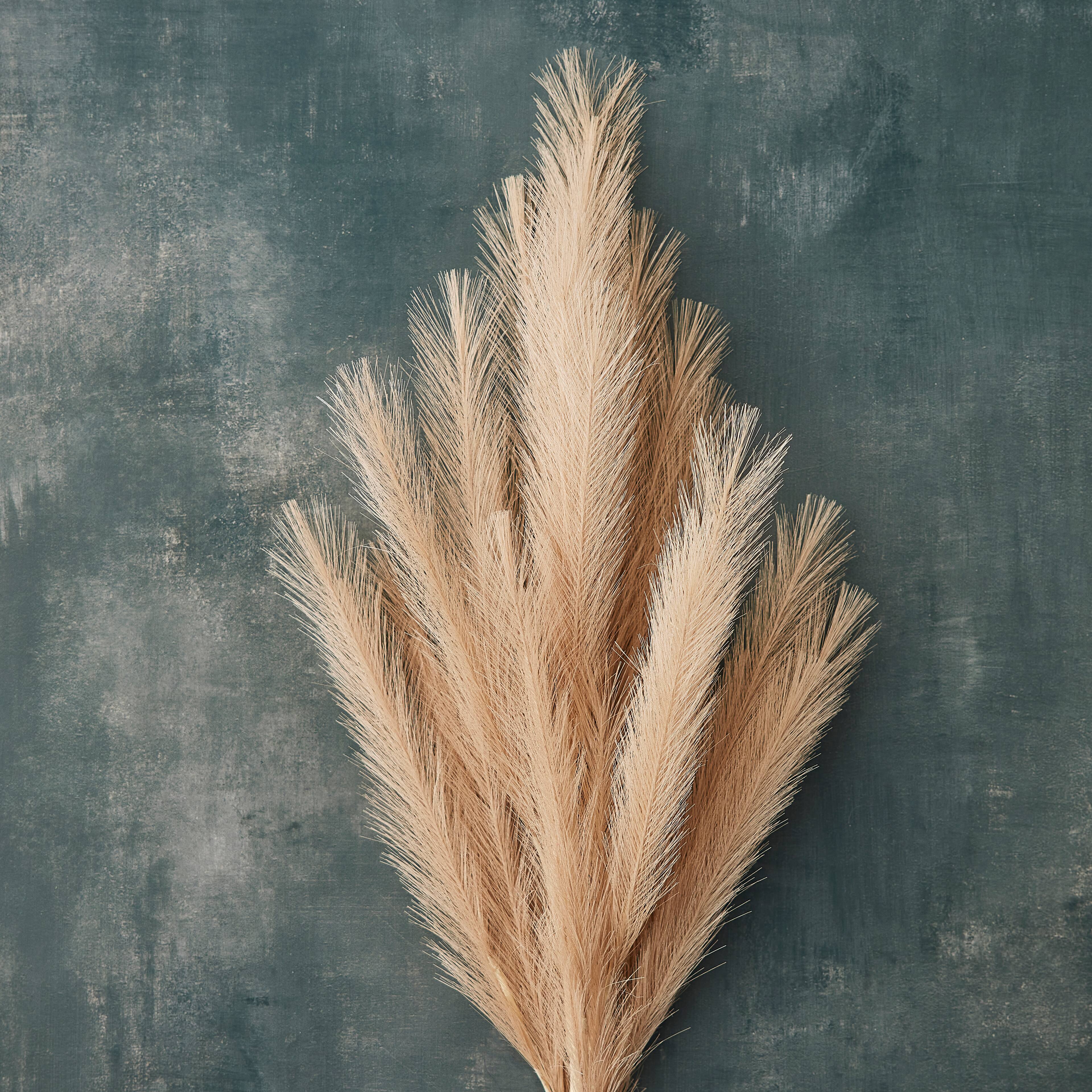 8 Pack: Wispy Pampas Grass Stem by Ashland®