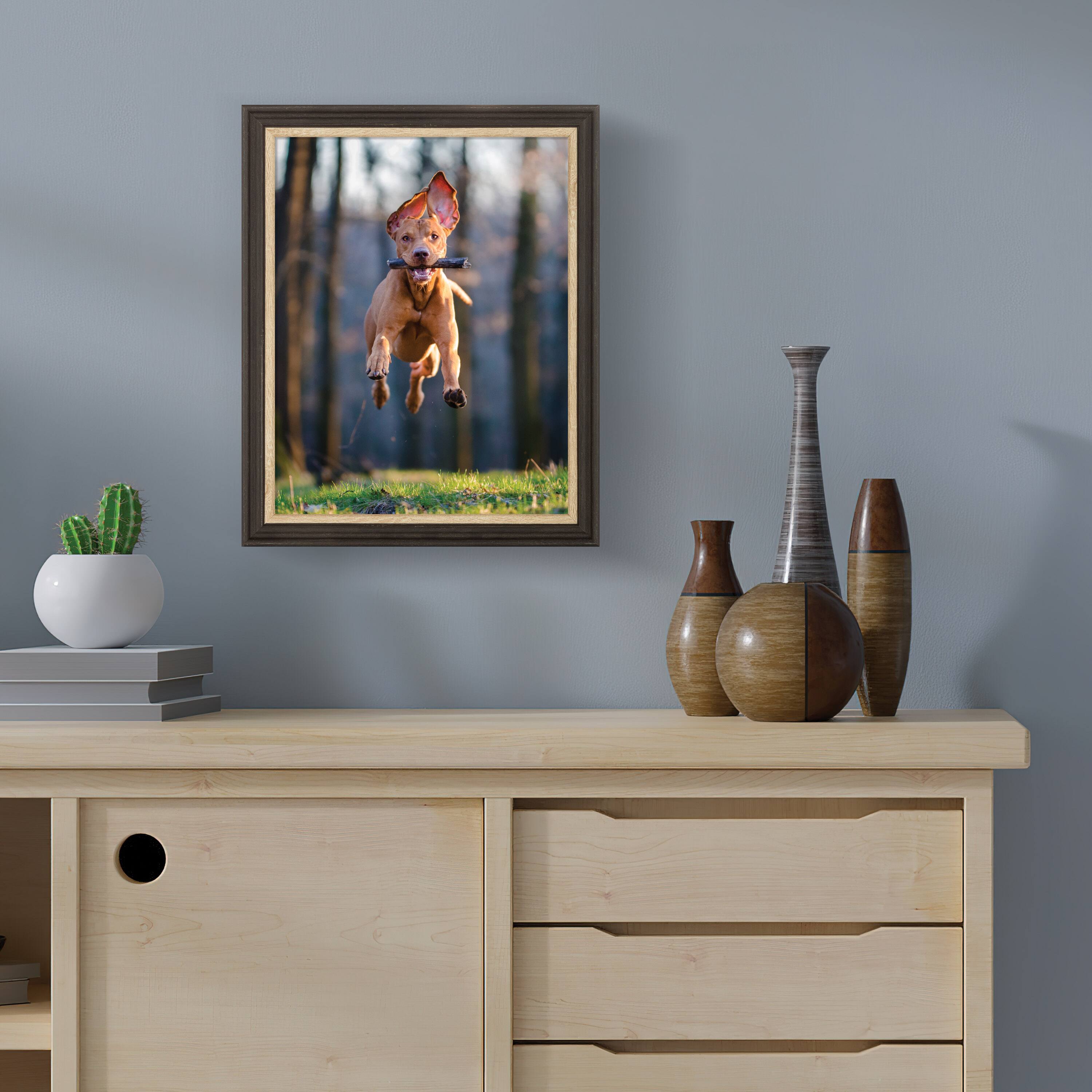 Black With Natural Wood 11" x 14" Picture Frame by Home by Studio Décor