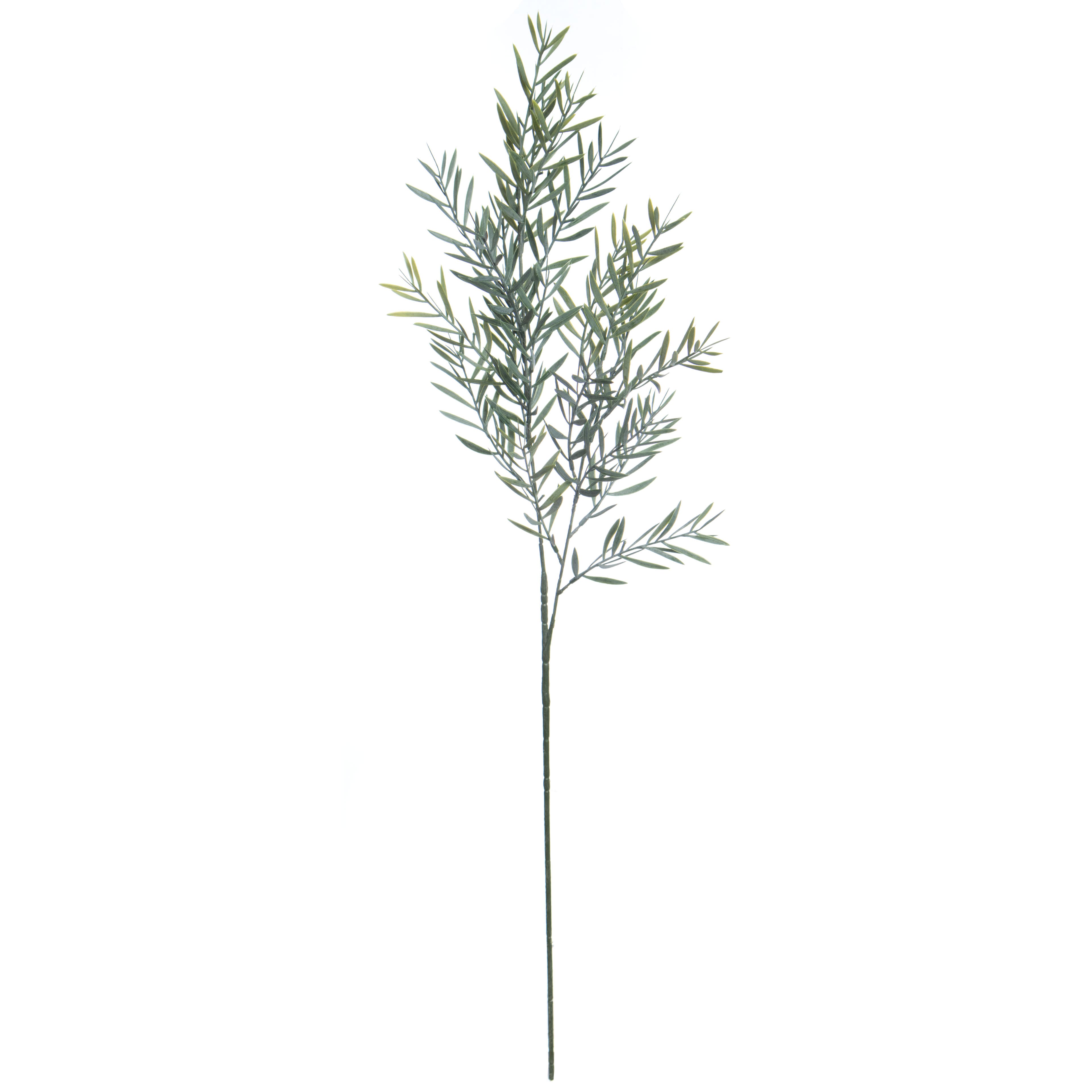 28.5" Green Acacia Leaf Stem by Ashland®