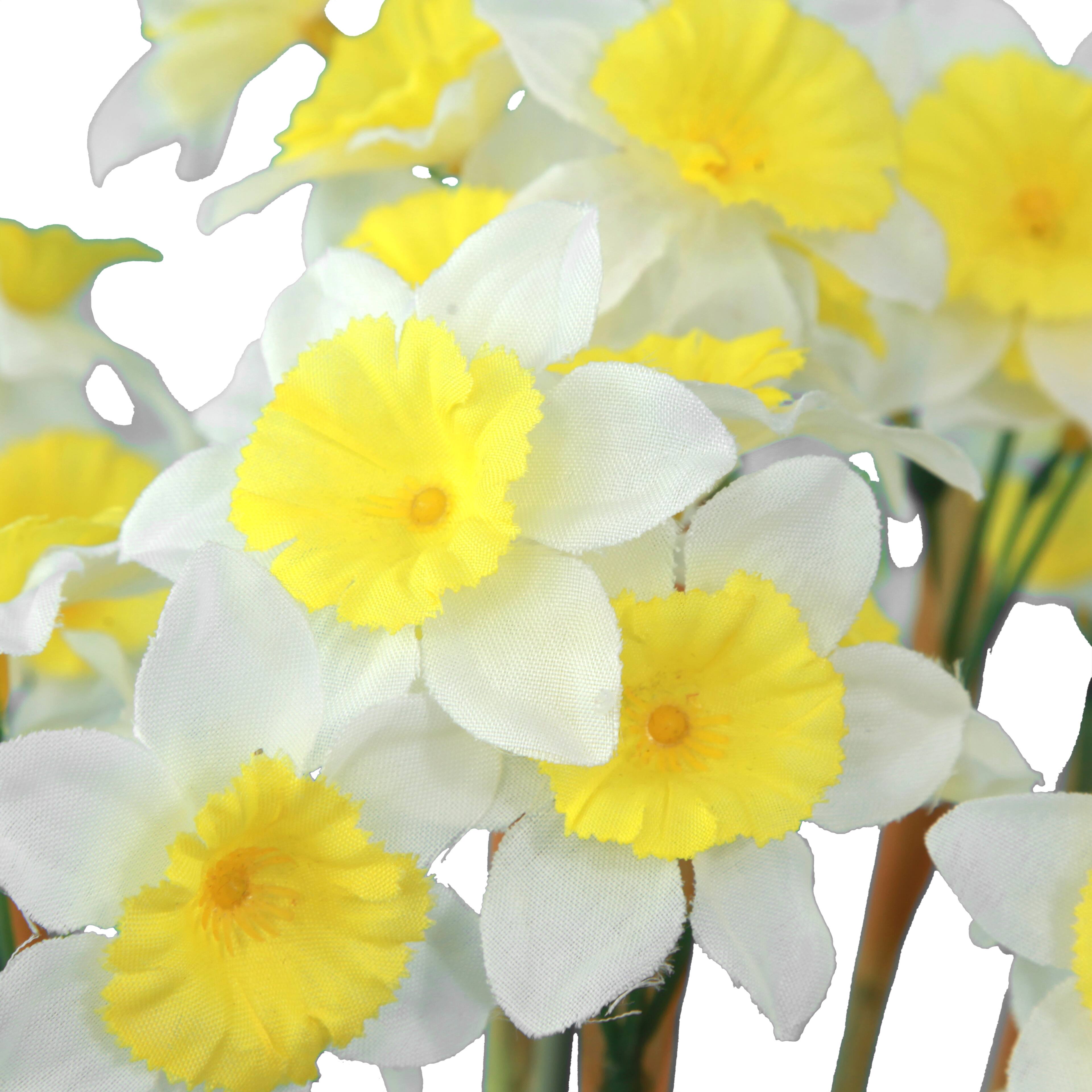 19&#x22; Narcissus Basic Bush by Ashland&#xAE;