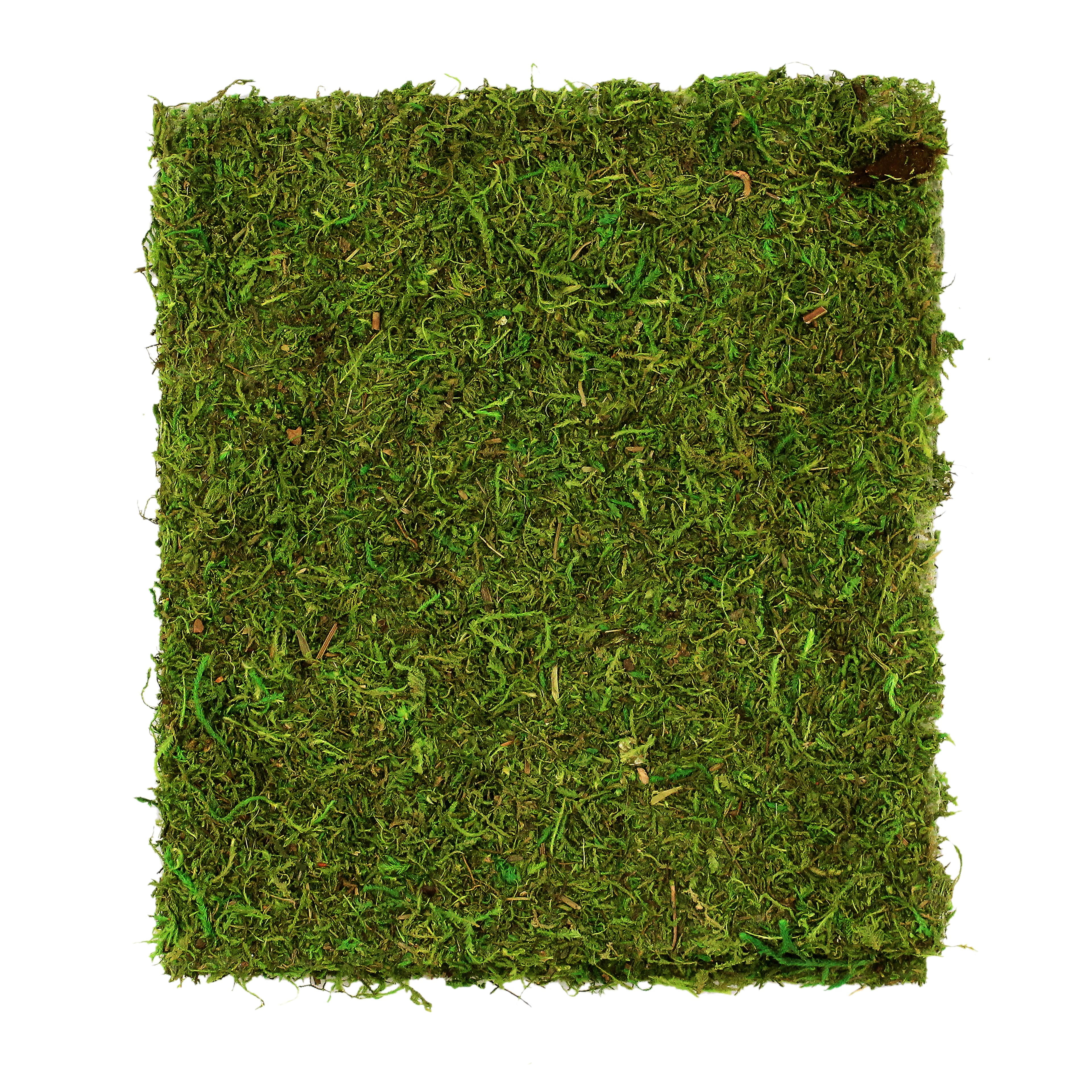 PM10273 ROUND ARTIFICIAL MOSS MAT,6in-12P – Green Import Limited