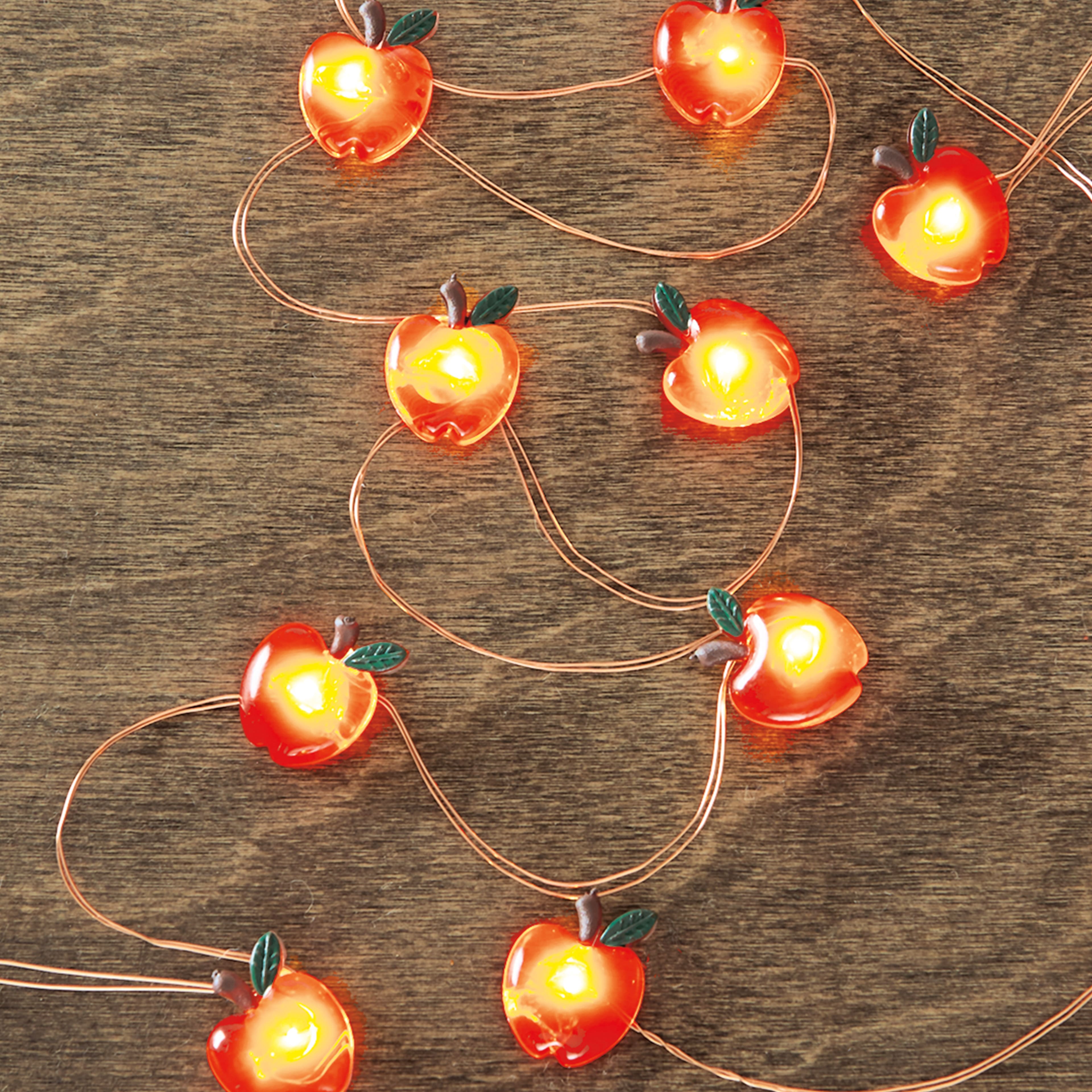 18ct. Warm White LED Apple Icon String Lights by Ashland&#xAE;