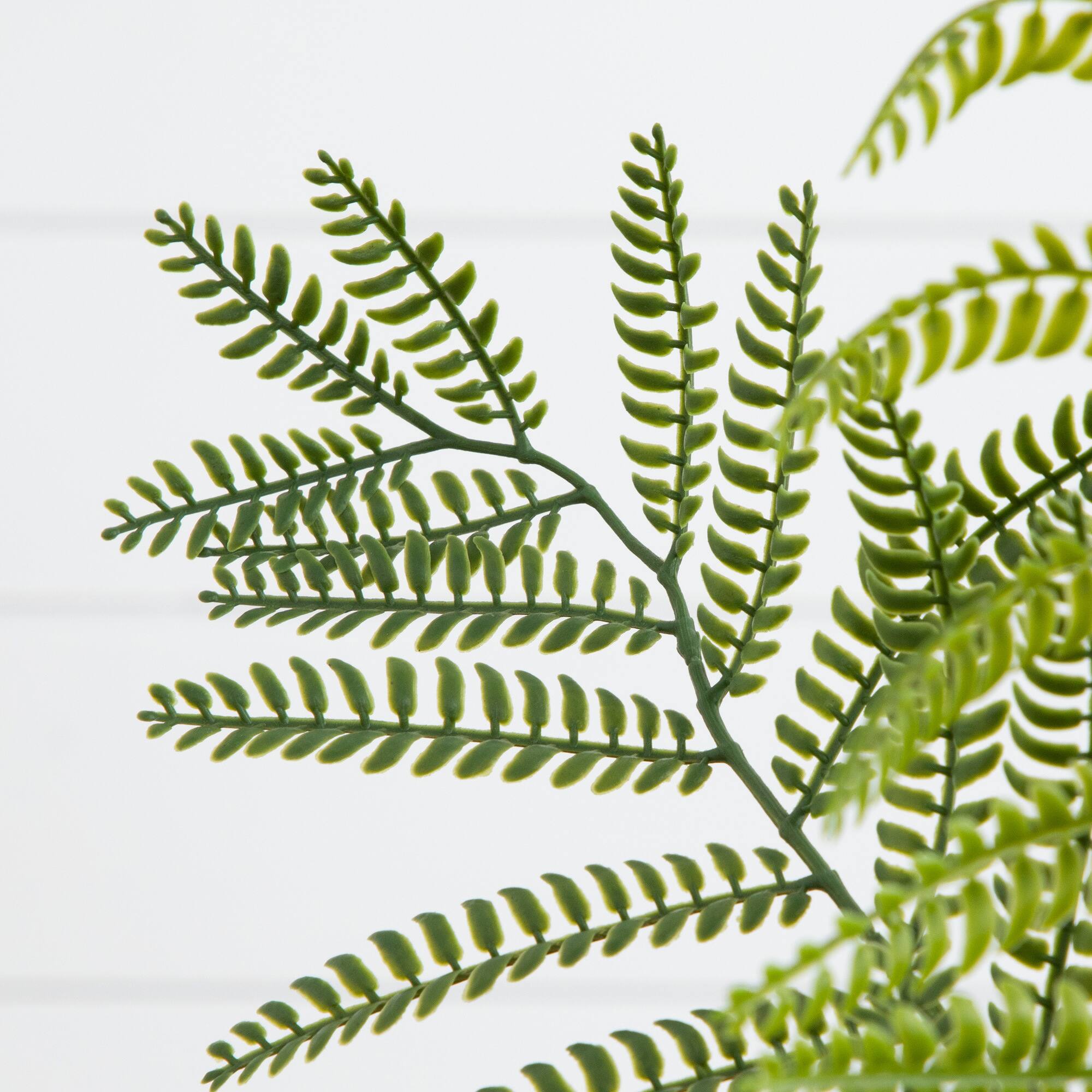 5ft. Artificial Minimalist Jacaranda Tree