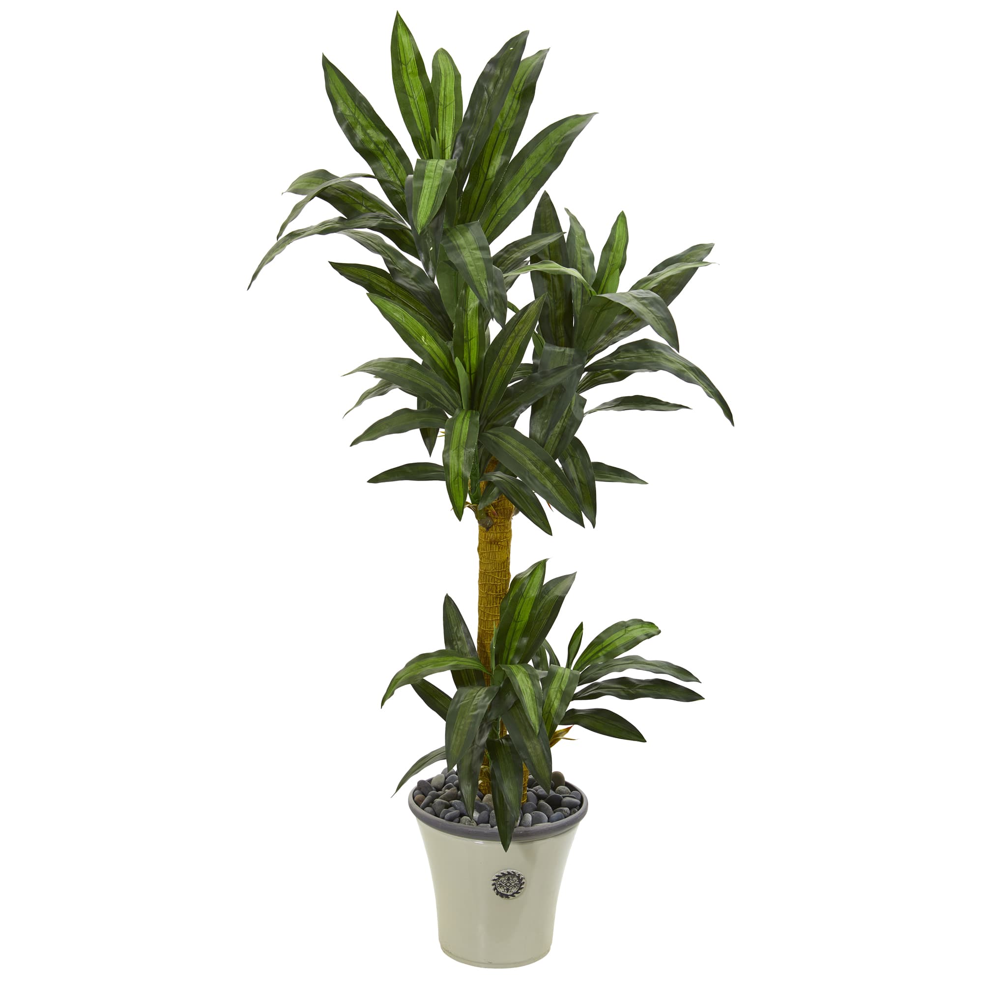 5ft. Yucca Plant in Decorative Planter