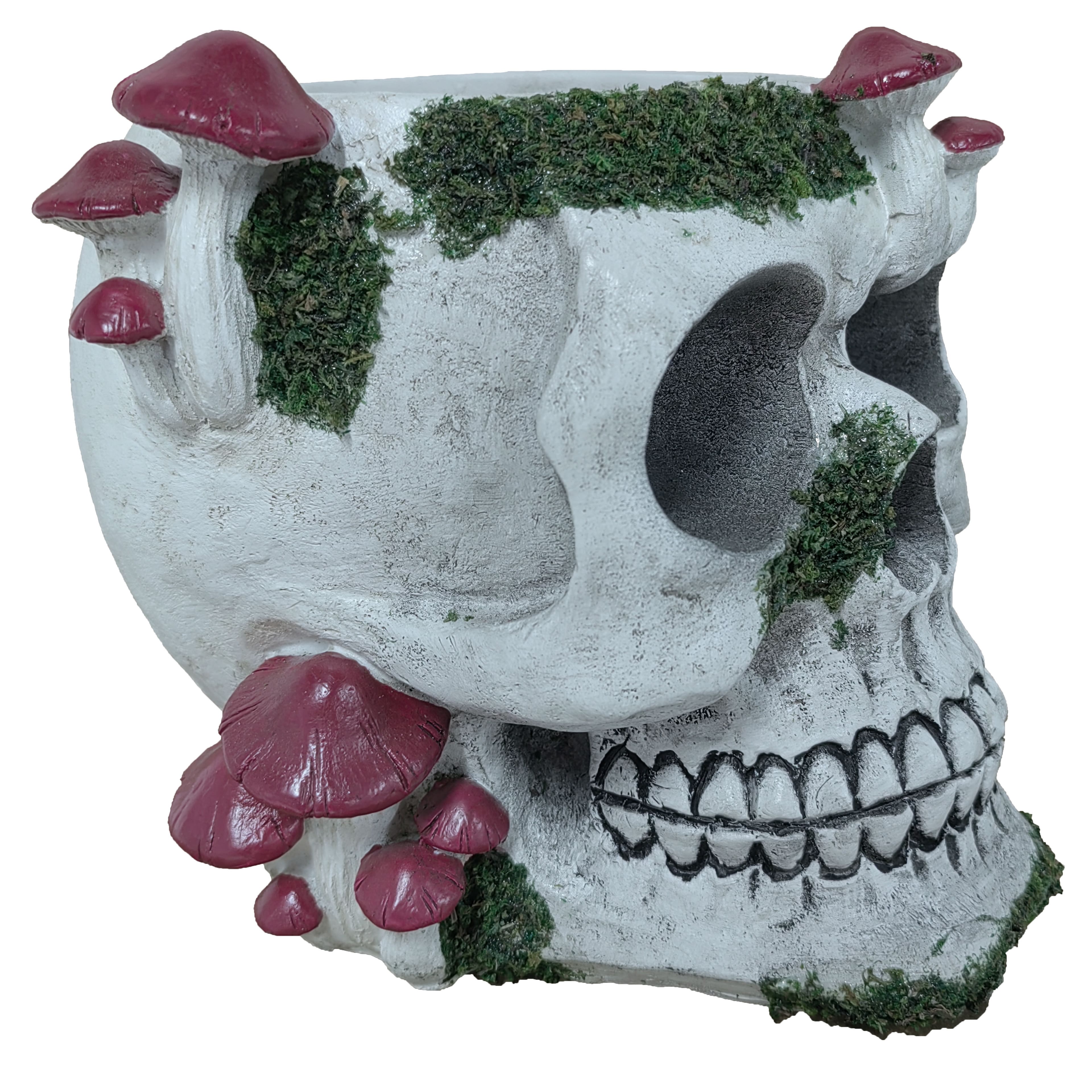 6.5&#x22; Mushroom Skull Container by Ashland&#xAE;