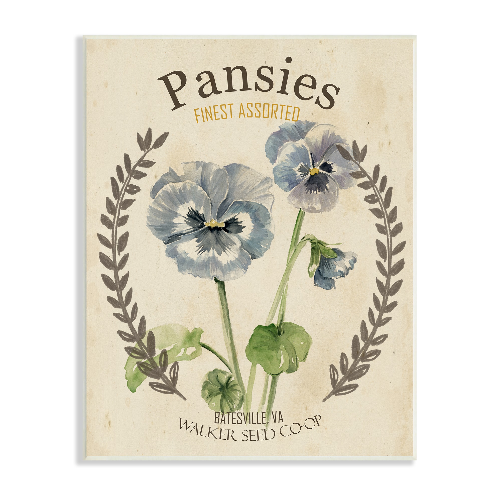 Stupell Industries Blue Assorted Pansies Vintage Floral Seed Packet Wall Plaque