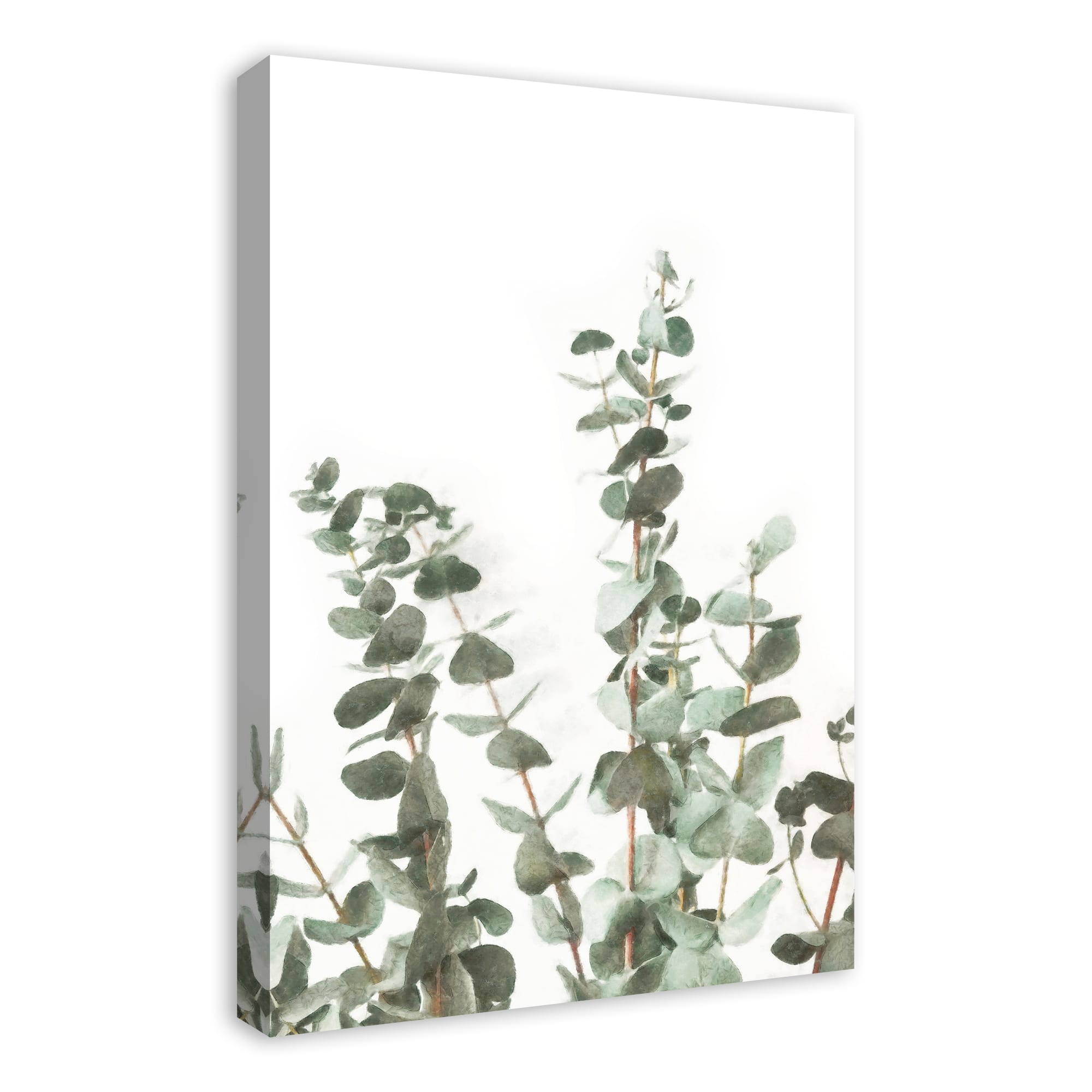 Watercolor Eucalyptus 20&#x22; x 30&#x22; Canvas Wall Art