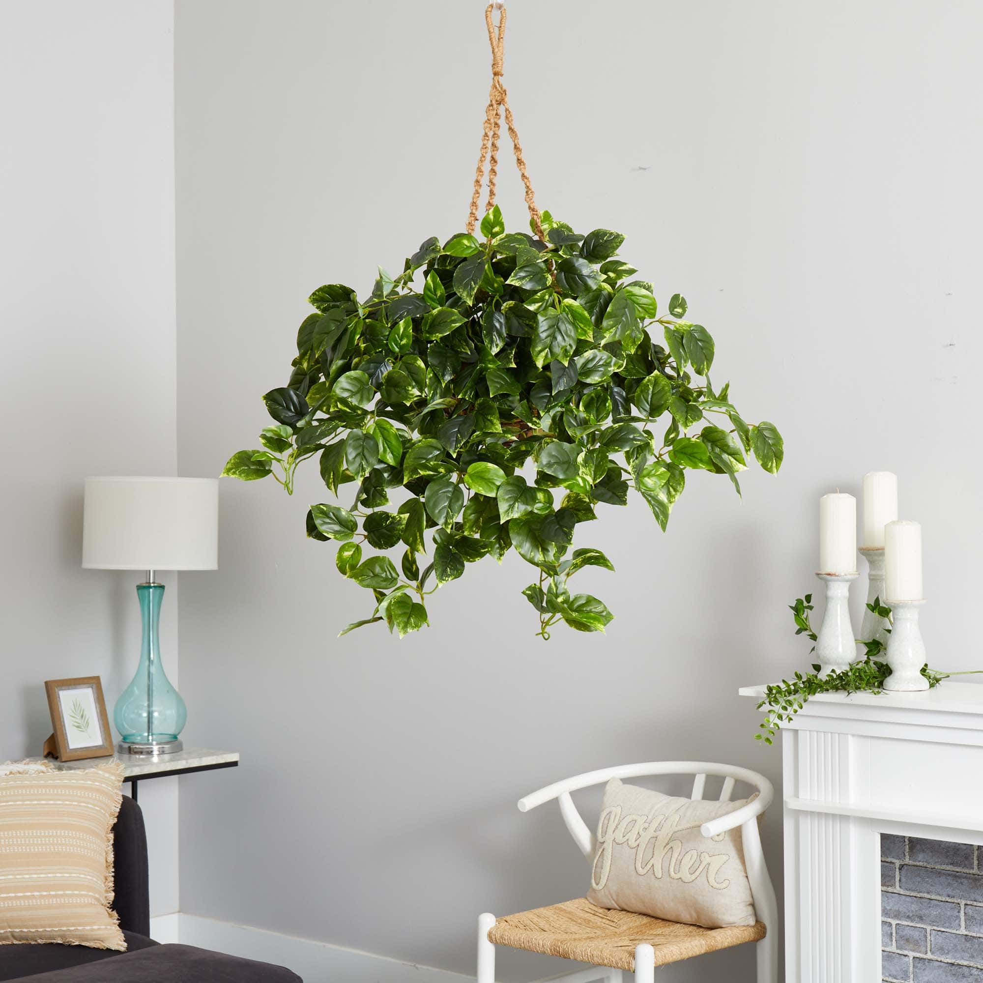 3ft. Pothos Hanging Basket