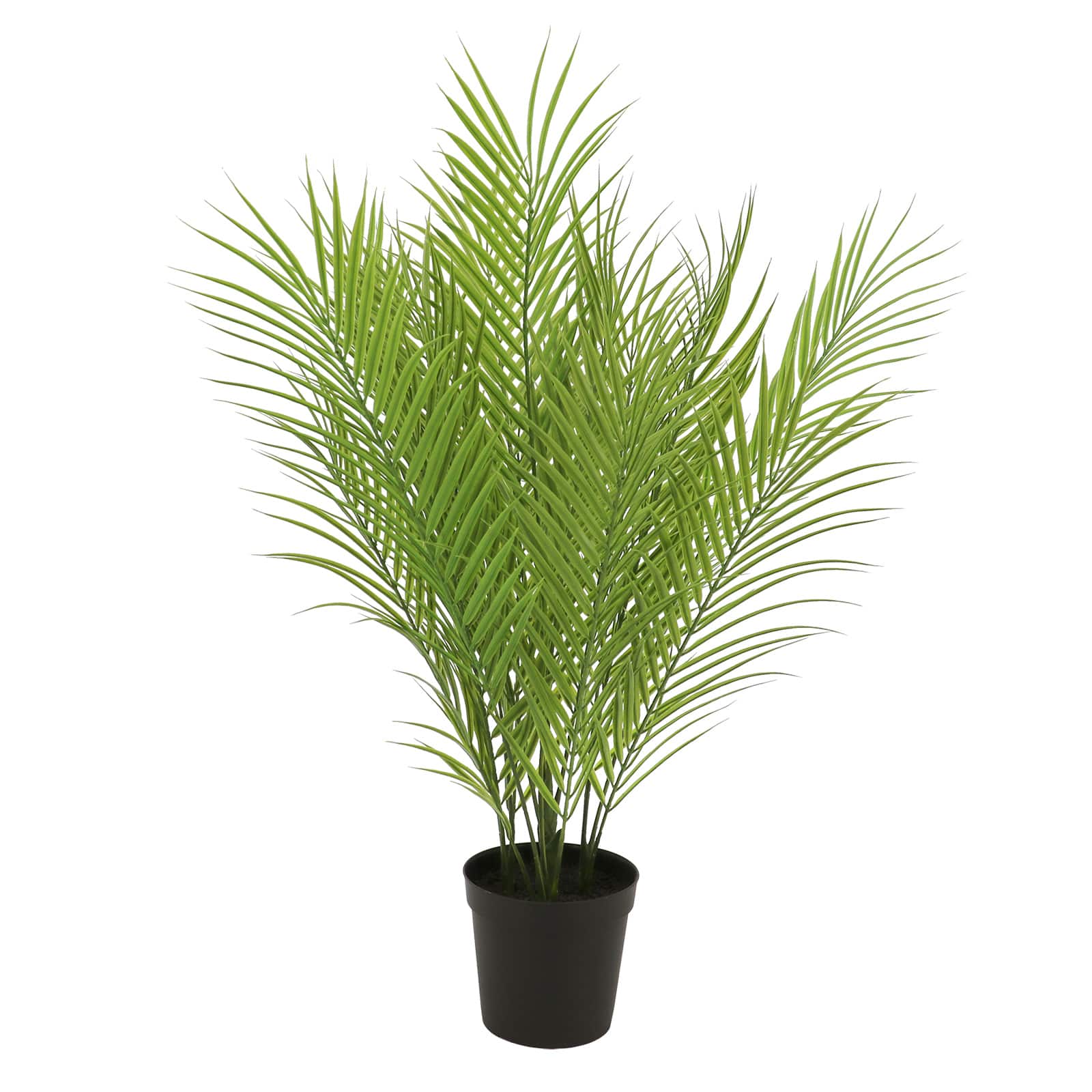 31&#x22; Areca Palm Plant by Ashland&#xAE;