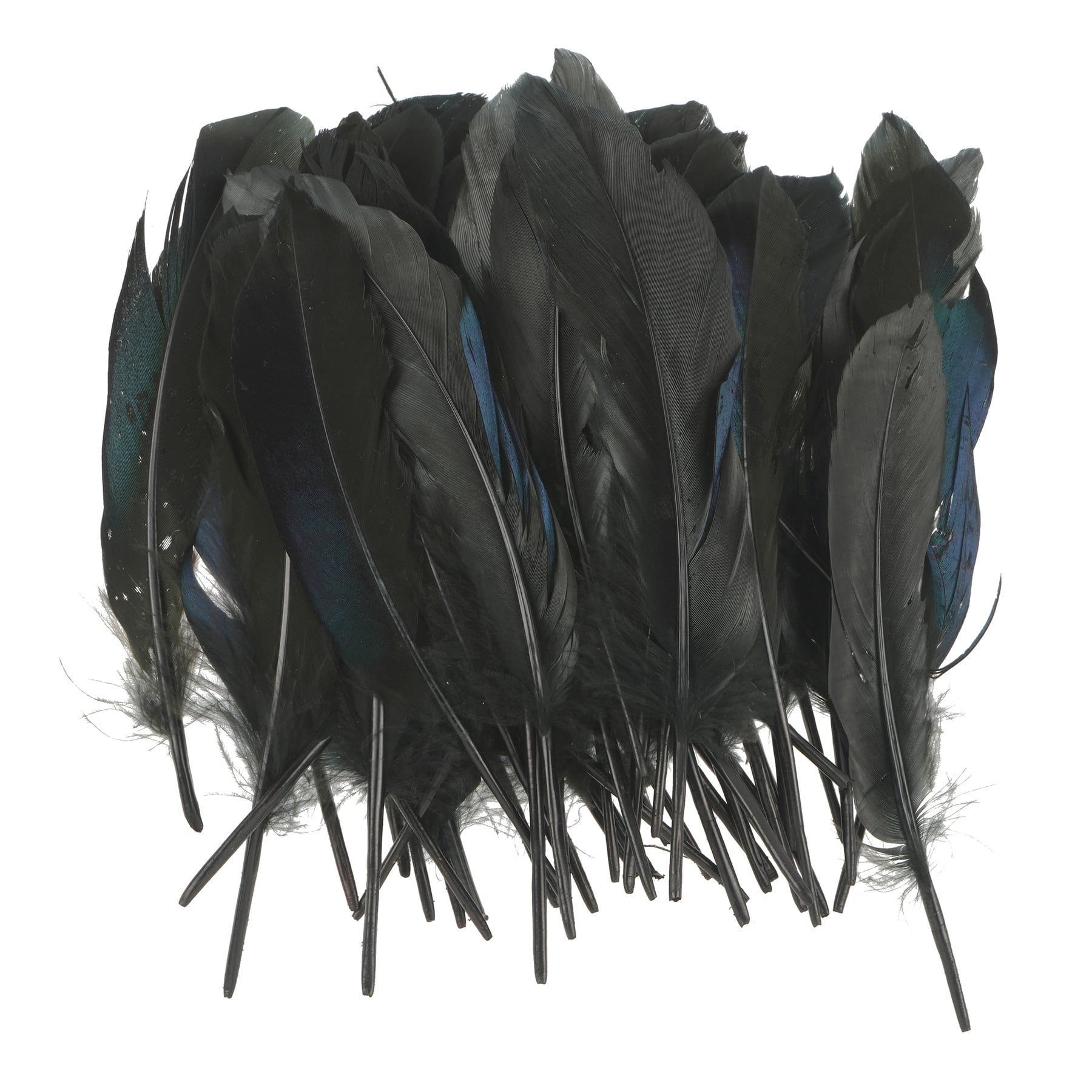 Black Feathers, 50ct. by Ashland&#xAE;