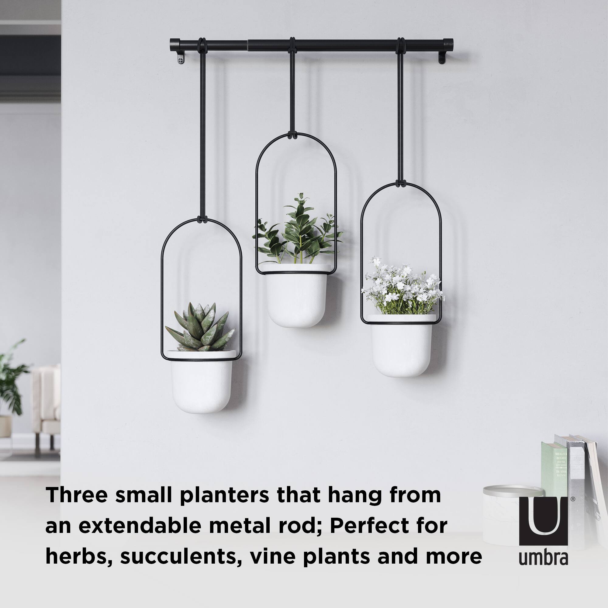 Umbra White & Black Triflora Hanging Planter Set