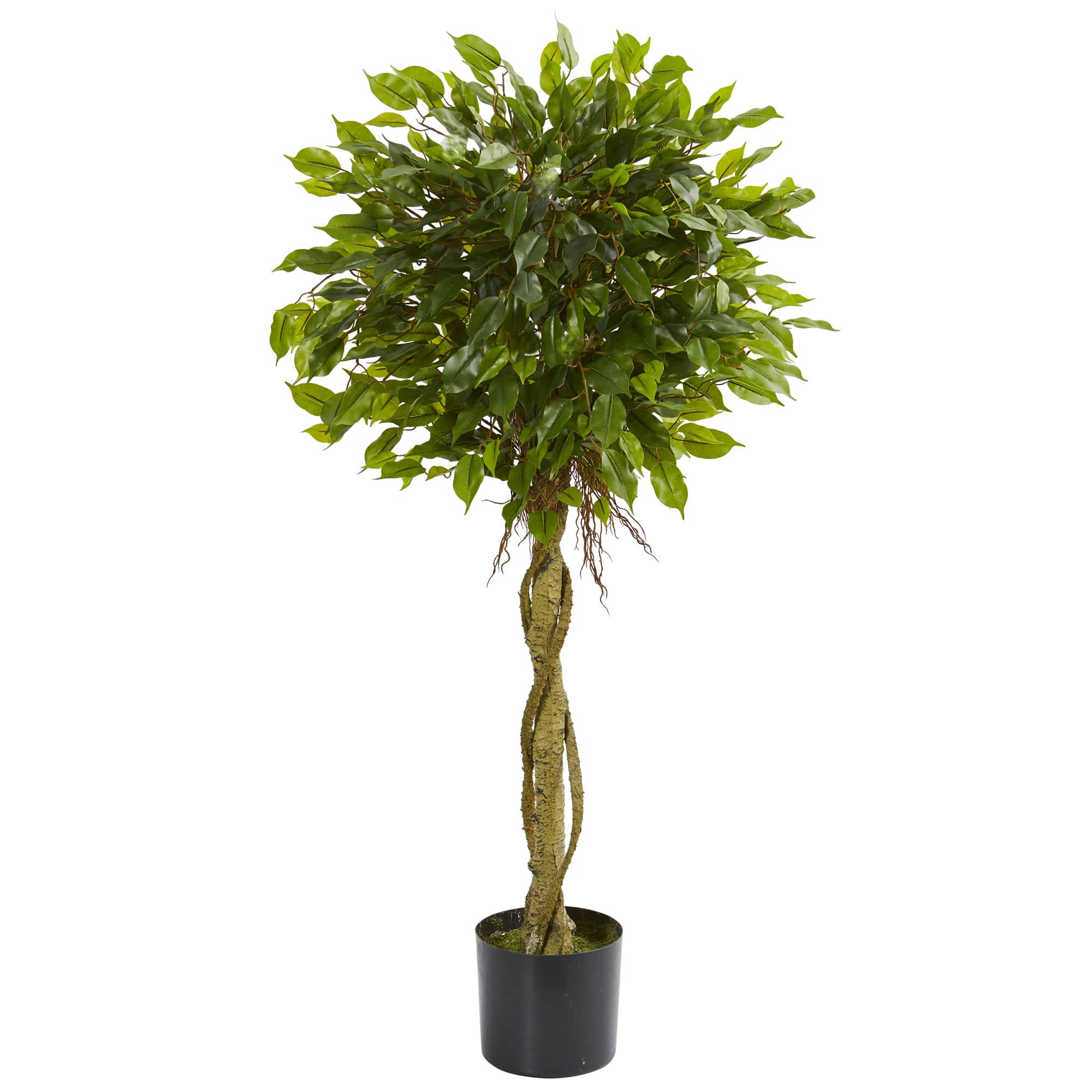 4ft. Potted Ficus Topiary Tree