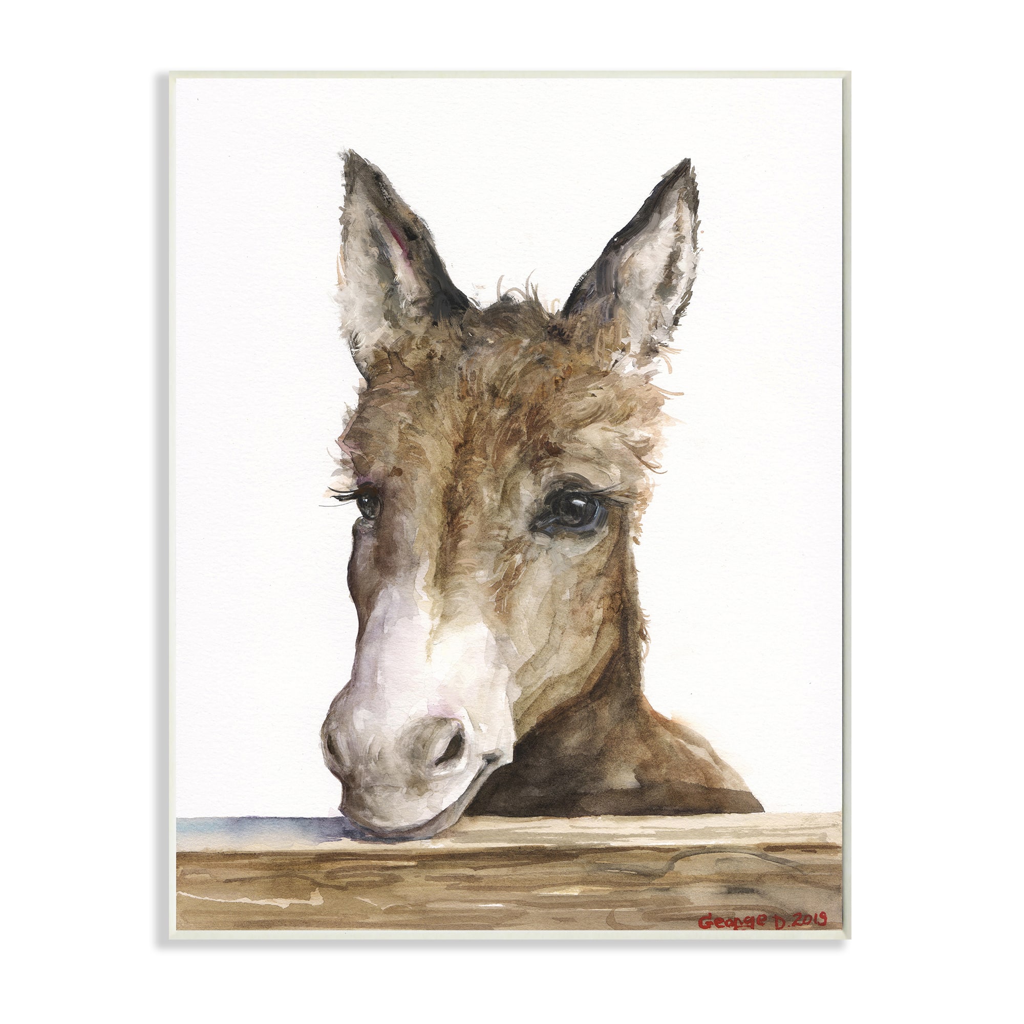 Stupell Industries Baby Donkey Portrait Adorable Farm Animal Wall Plaque
