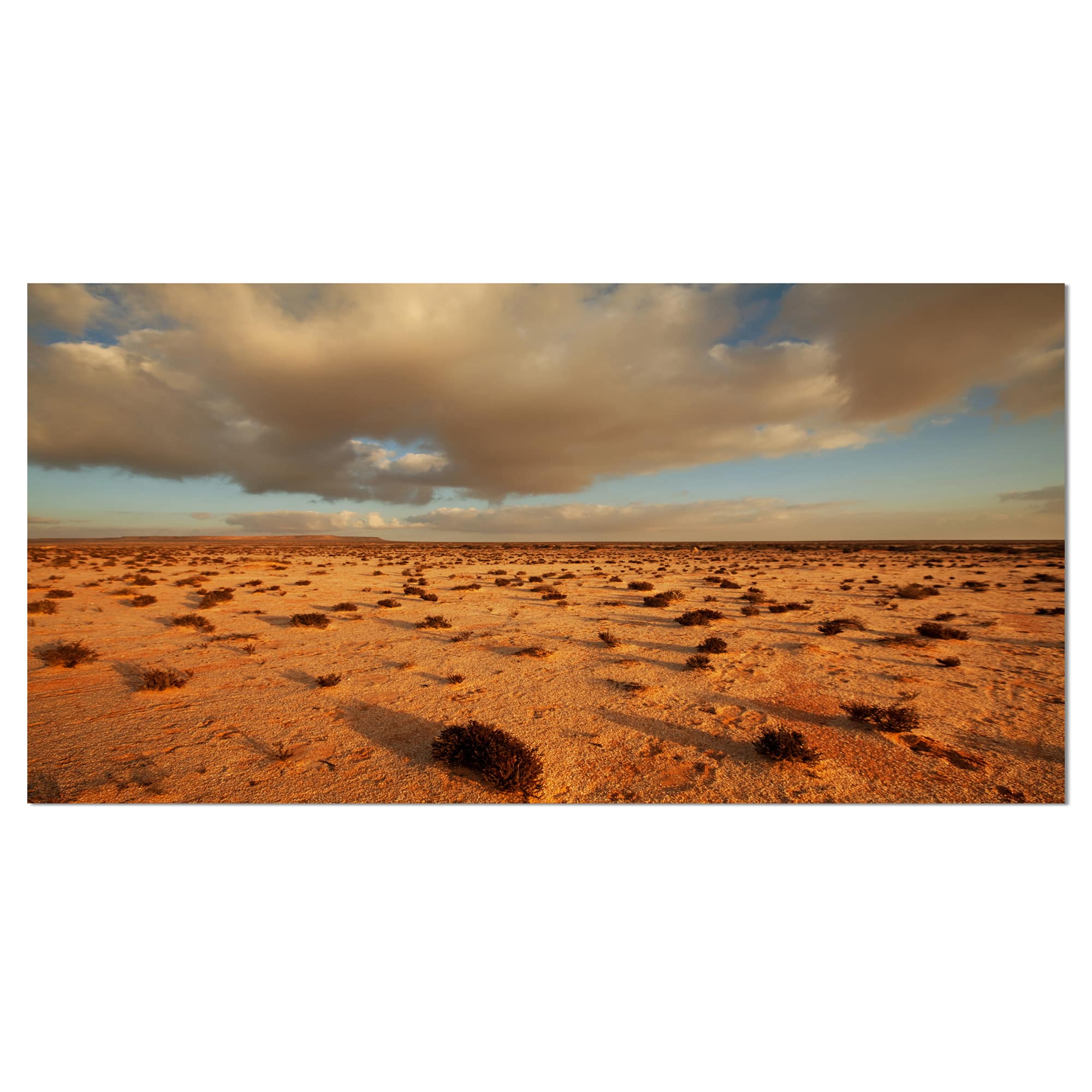 Designart - Desert in Western Sahara - Landscape Canvas Art Print