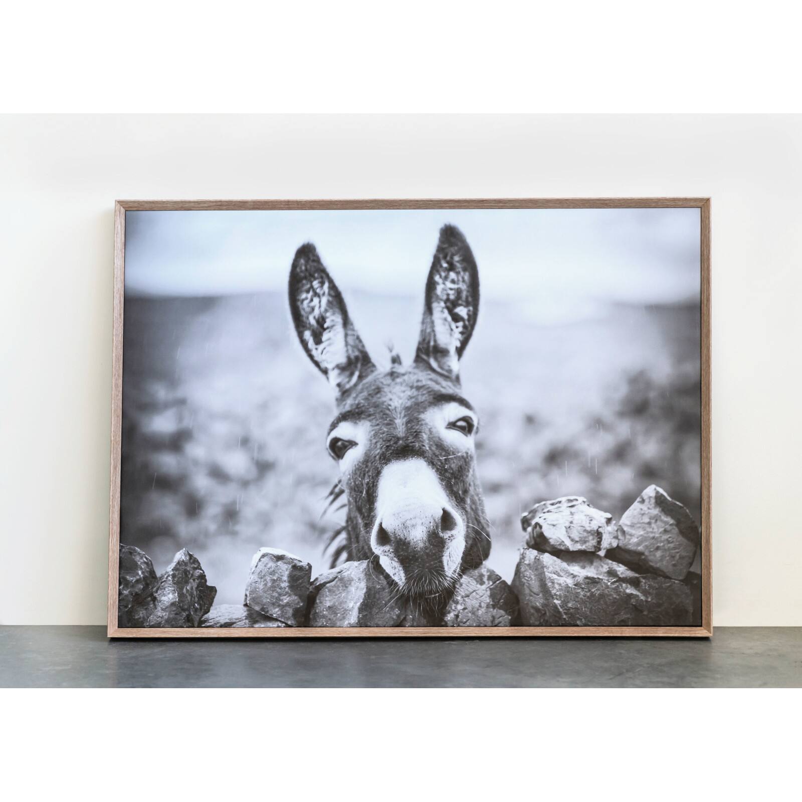 Hello Honey&#xAE; Black &#x26; White Donkey on Canvas Wood Framed Wall D&#xE9;cor
