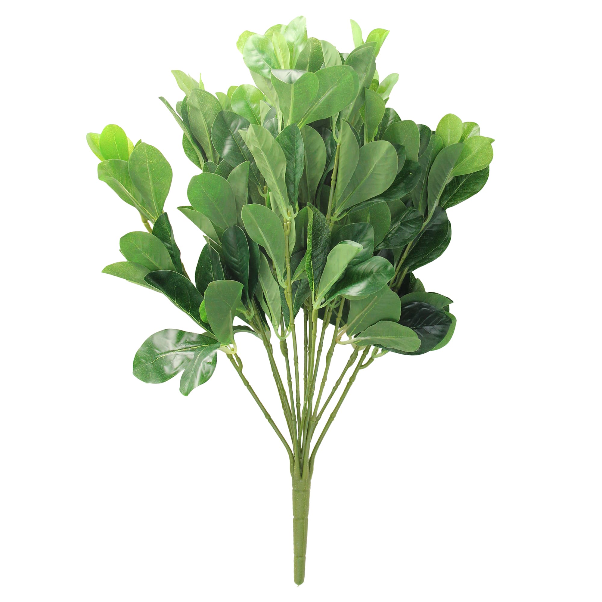 18&#x22; Green Two-Tone Polyscias Floral Bush