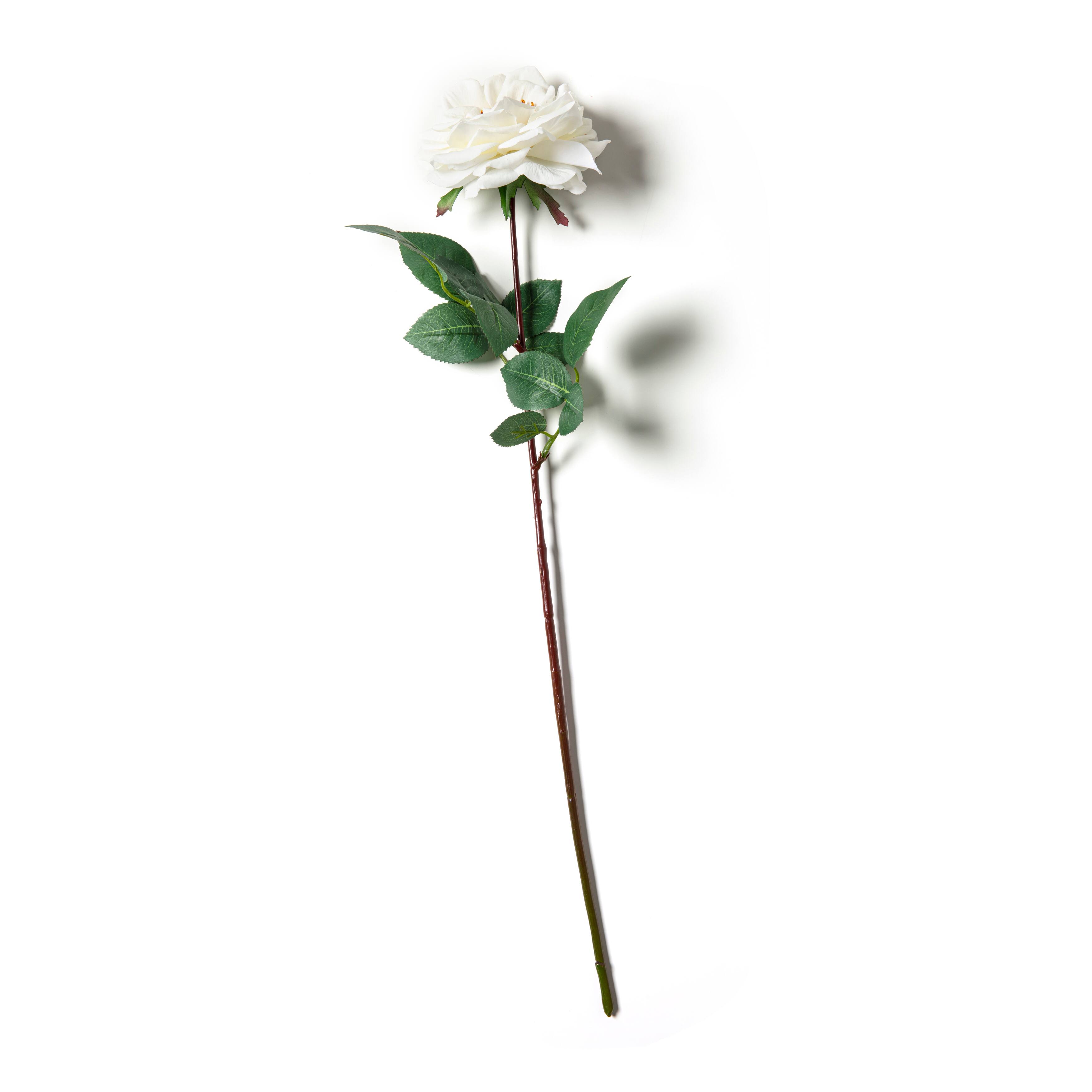 Orlane Rose Stem by Ashland&#xAE;