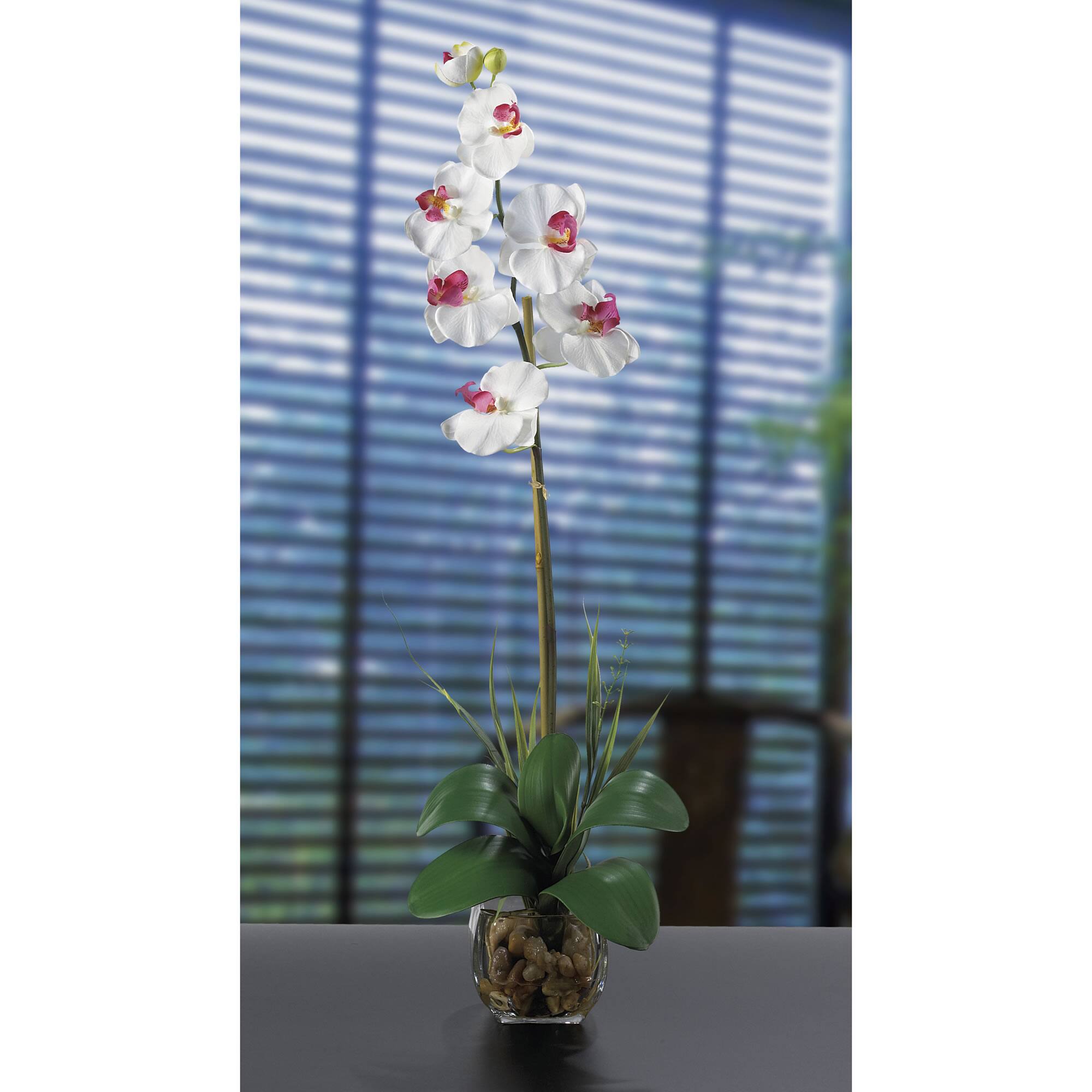 2ft. White Orchid Arrangement In Glass Vase