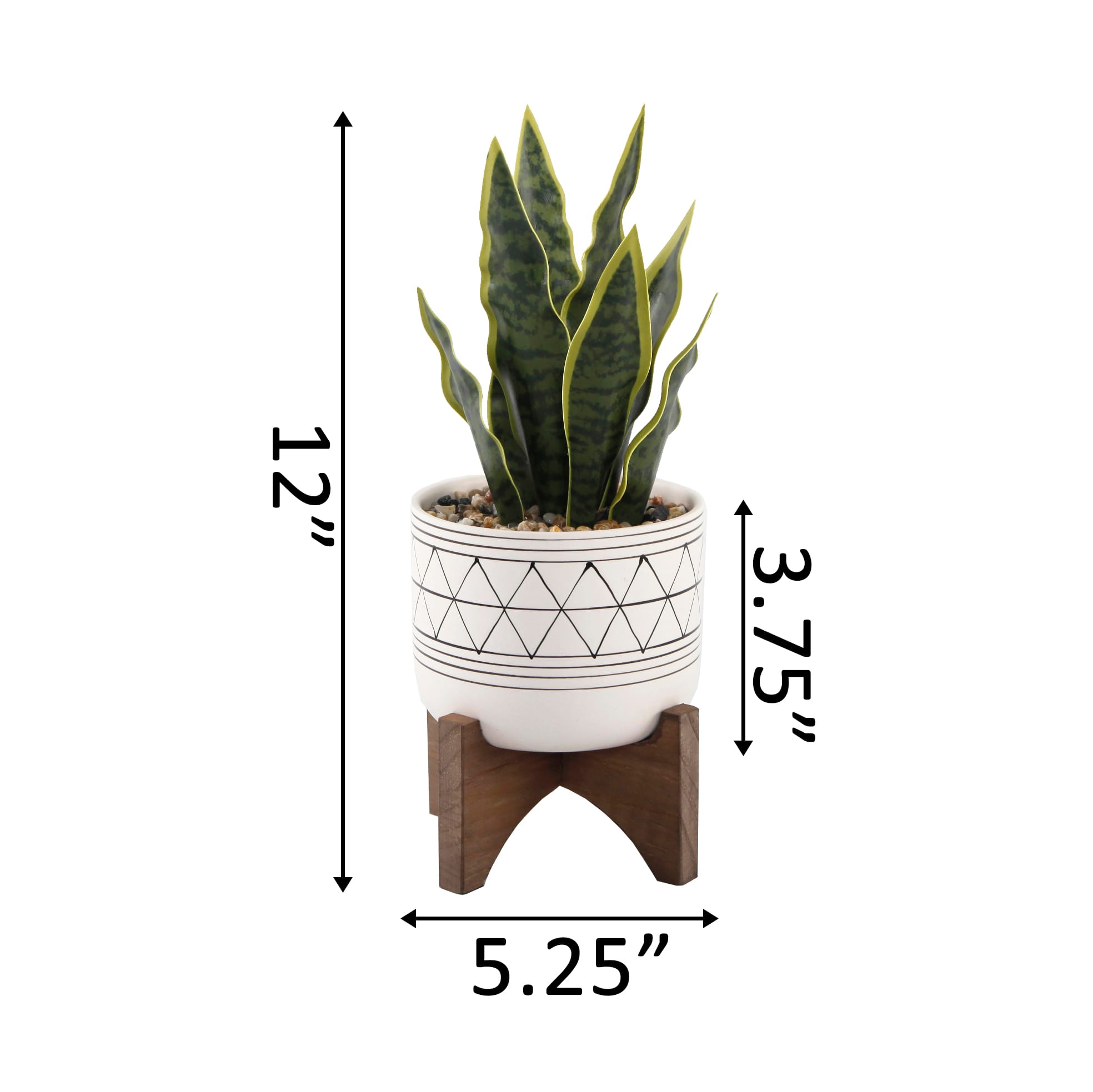 Flora Bunda® 12" Snake Plant In Ceramic On Stand