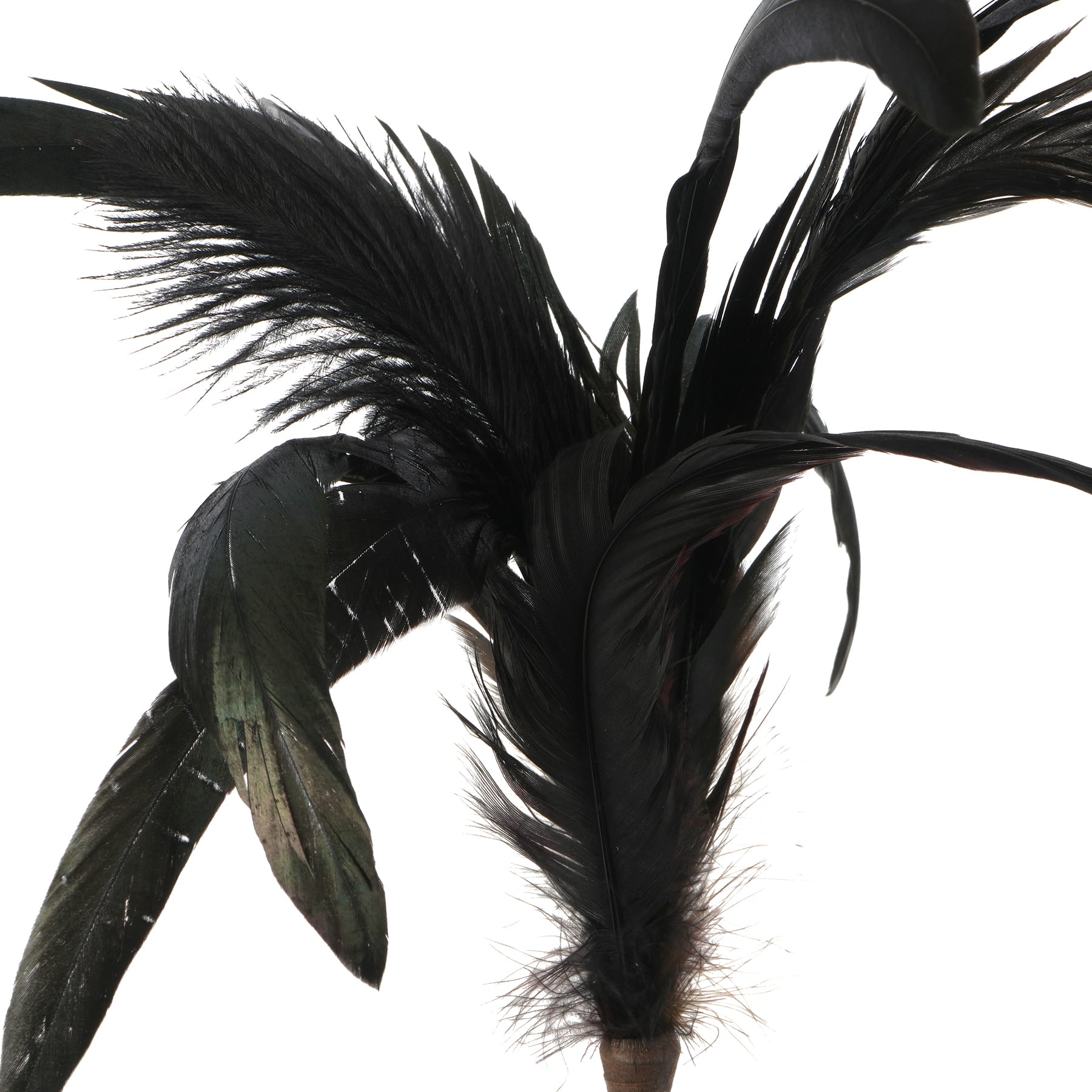 Halloween Feather Pick by Ashland&#xAE;