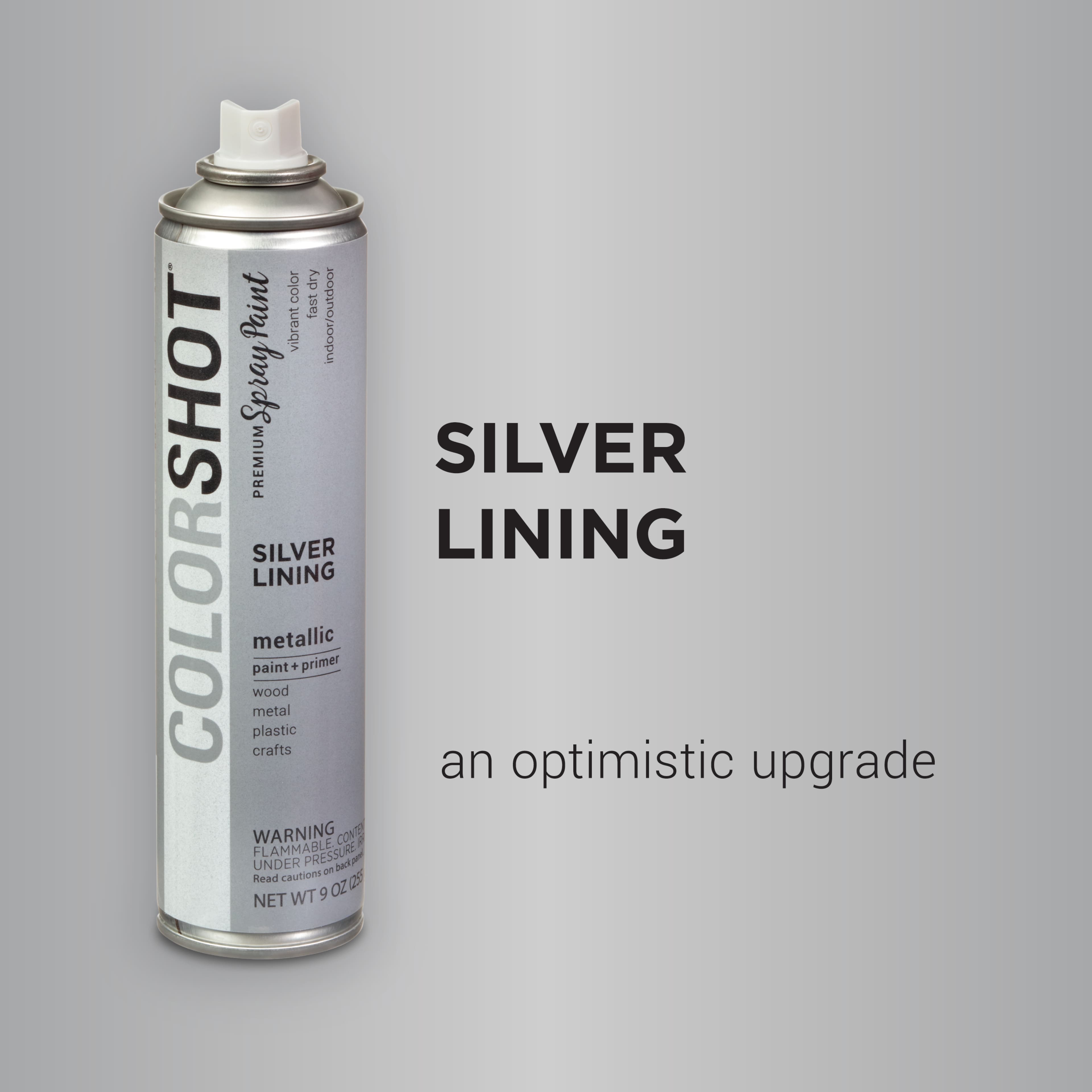 COLORSHOT® Premium Metallic Spray Paint