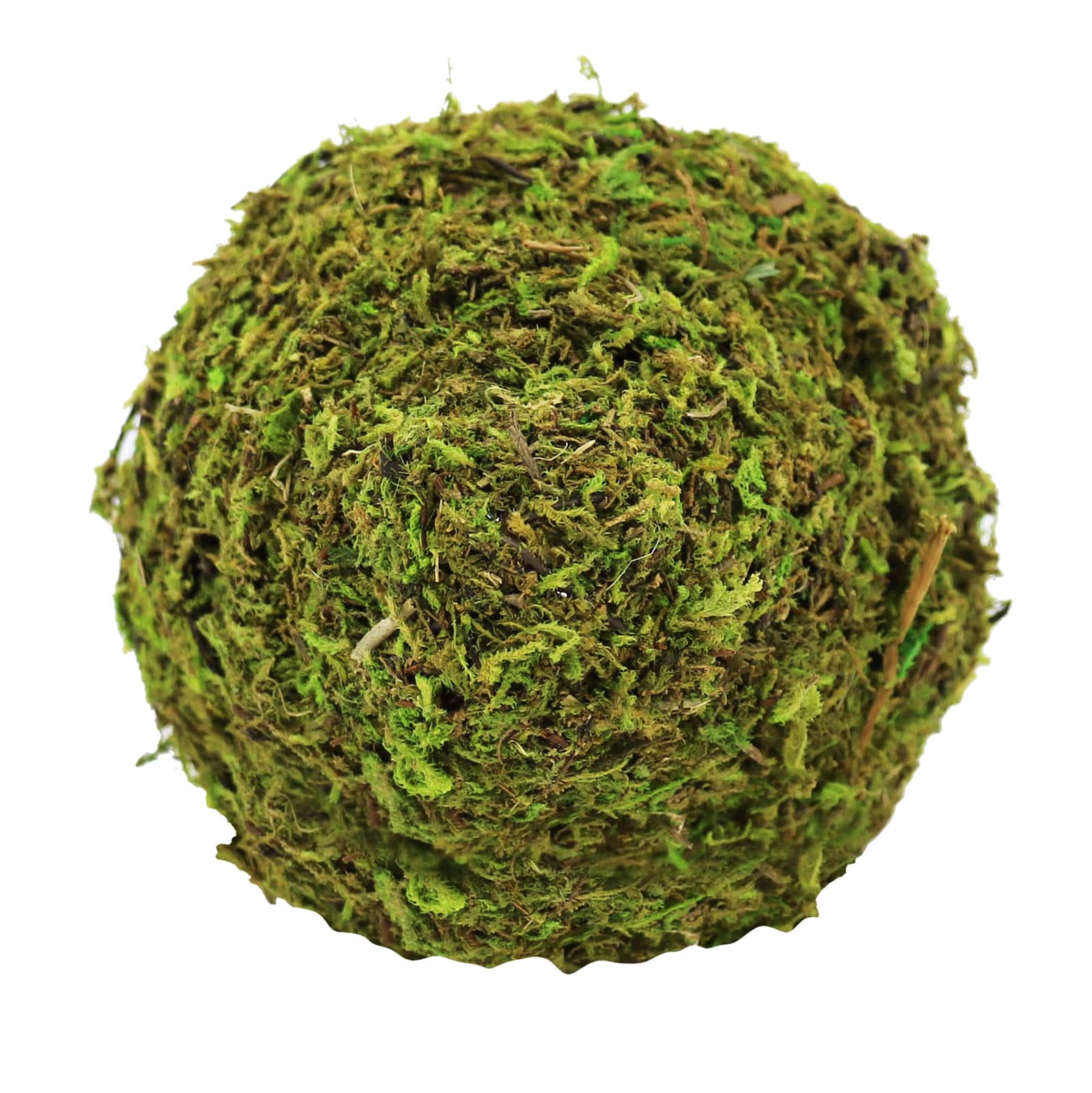 7&#x22; Green Moss Decorative Moss Mushroom by Ashland&#xAE;