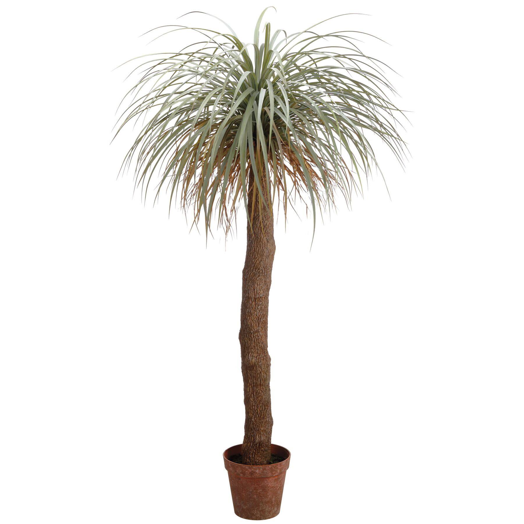 Purchase The 6ft Desert Palm Tree At Michaels