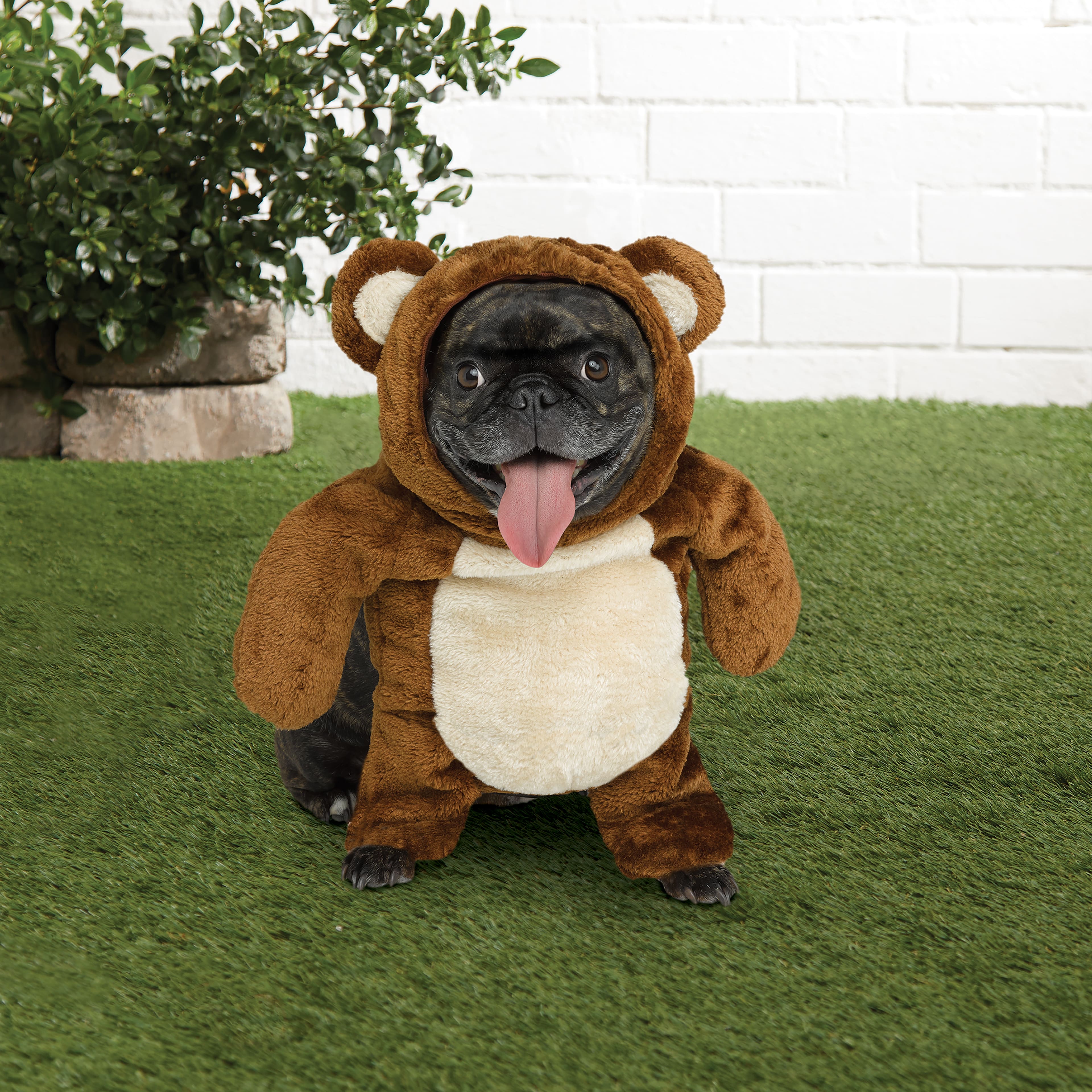 Teddy Bear Dog Costume by Ashland&#xAE;