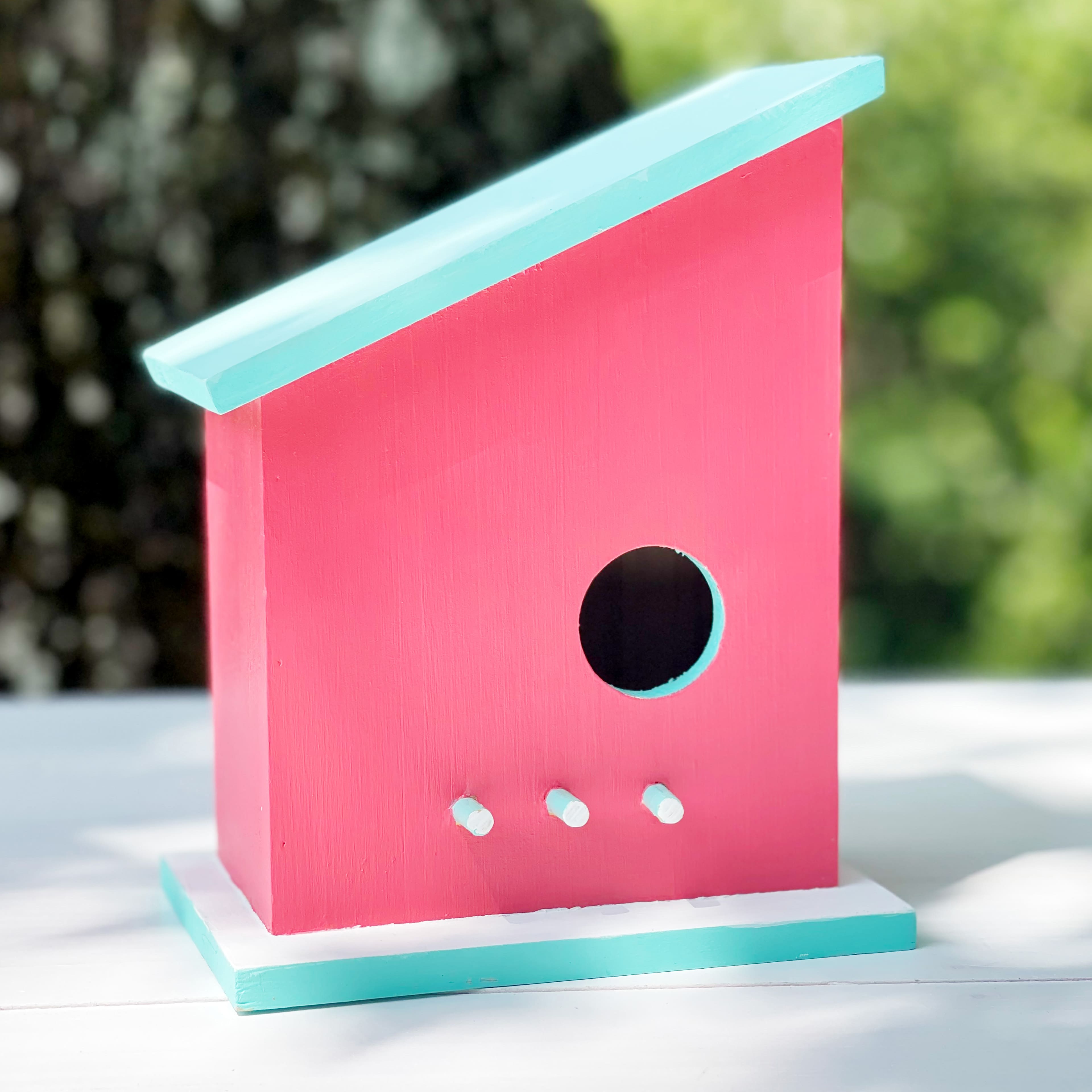 8&#x22; Unfinished Modern Side Angle Birdhouse