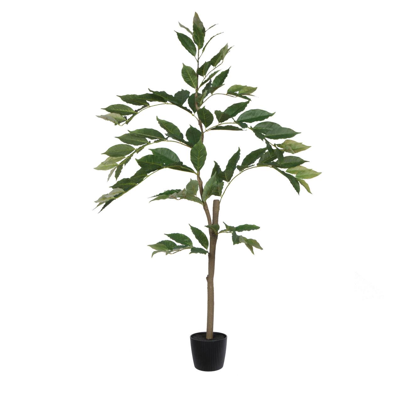 4ft. Potted Green Nandina Tree | Michaels