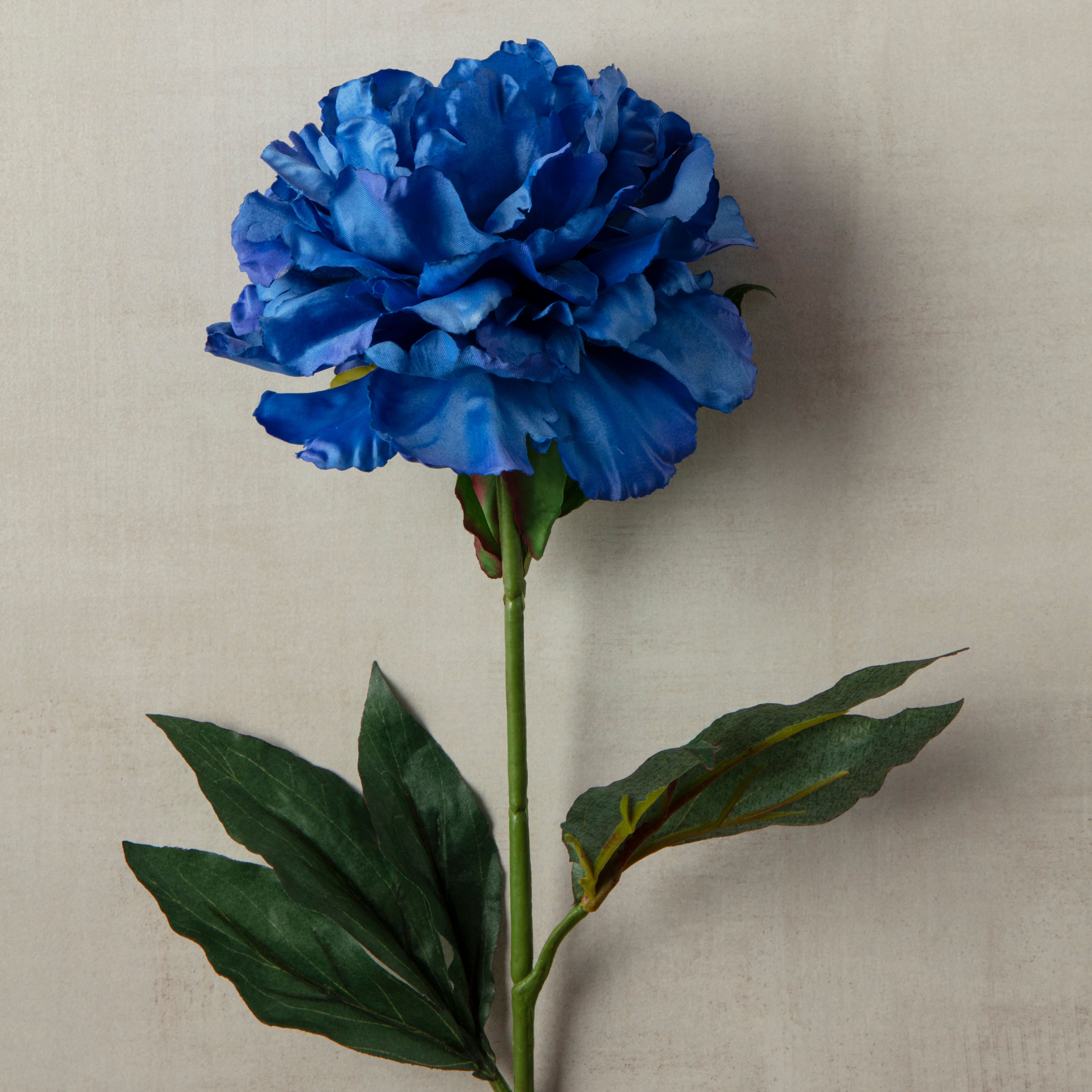 Tige de pivoine bleu marin d&#x27;Ashland