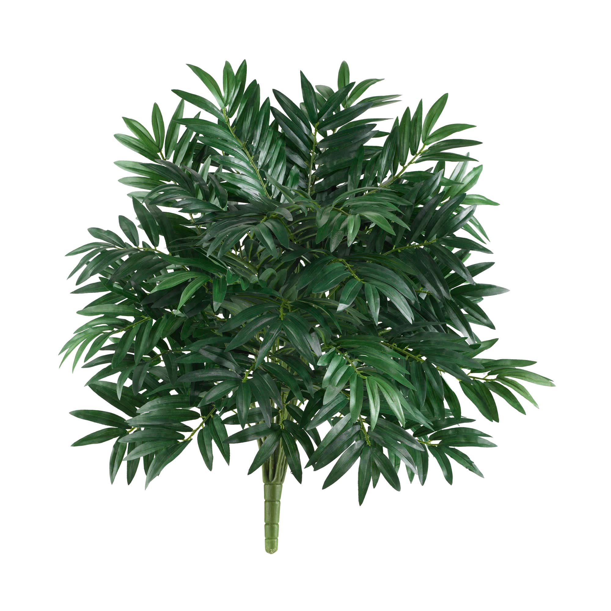 2.5ft. Bamboo Palm Plant, 2ct.