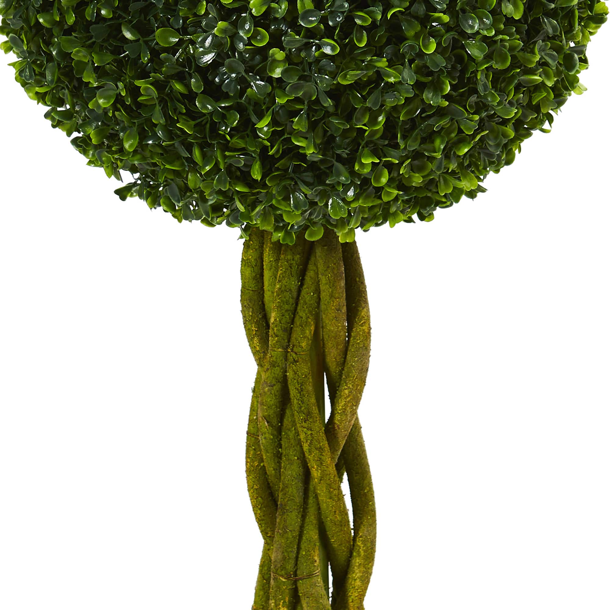 4ft. Potted Boxwood Double Ball Topiary Tree with Woven Trunk
