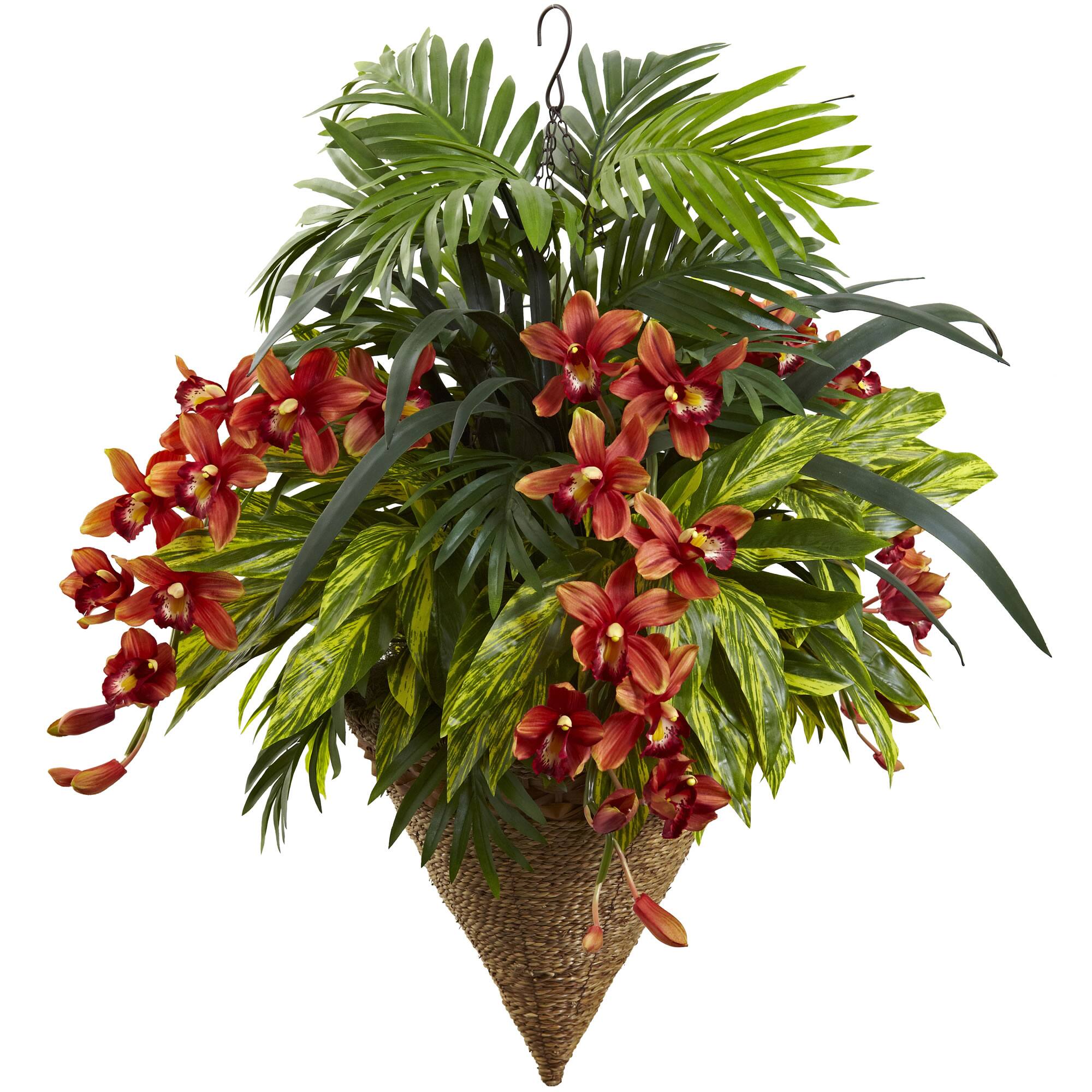 3ft. Mixed Tropical Greenery & Orchid Hanging Basket