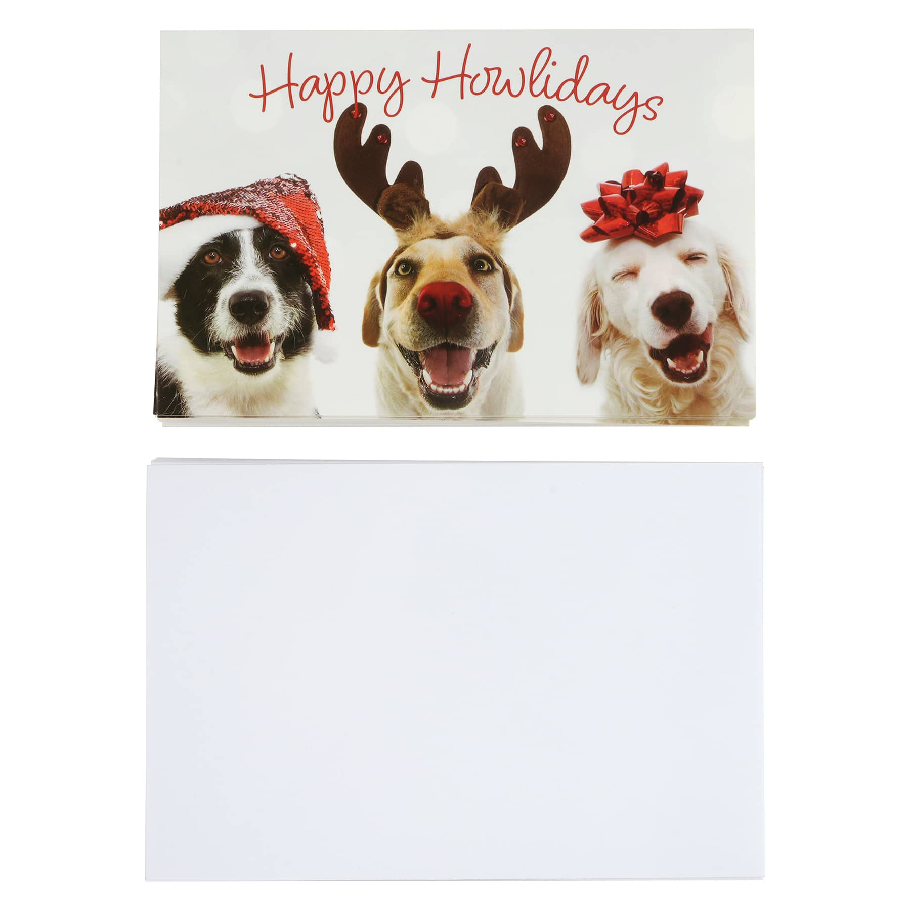 Dogs Box of Cards by Recollections&#x2122;