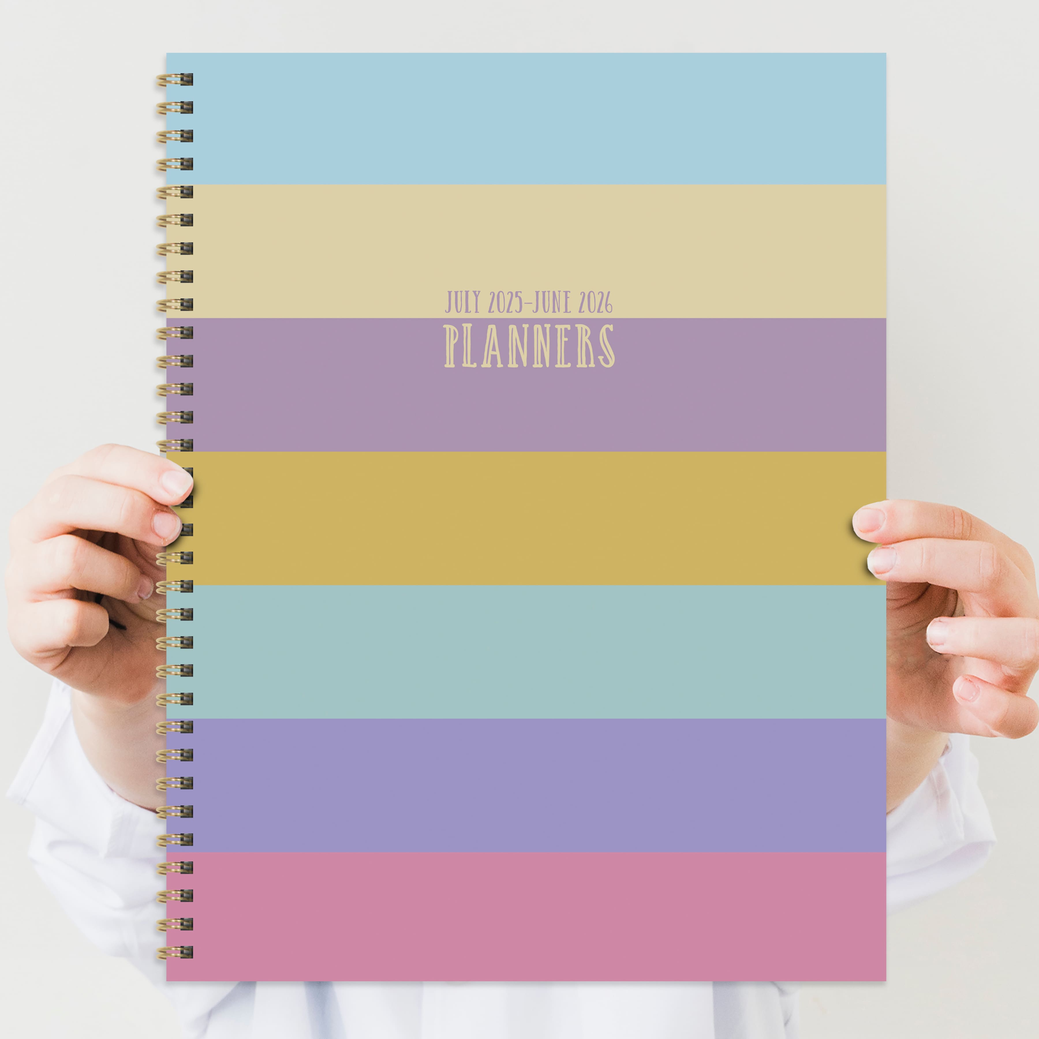 TF Publishing 2025-2026 Striped Down Large Weekly/Monthly Planner