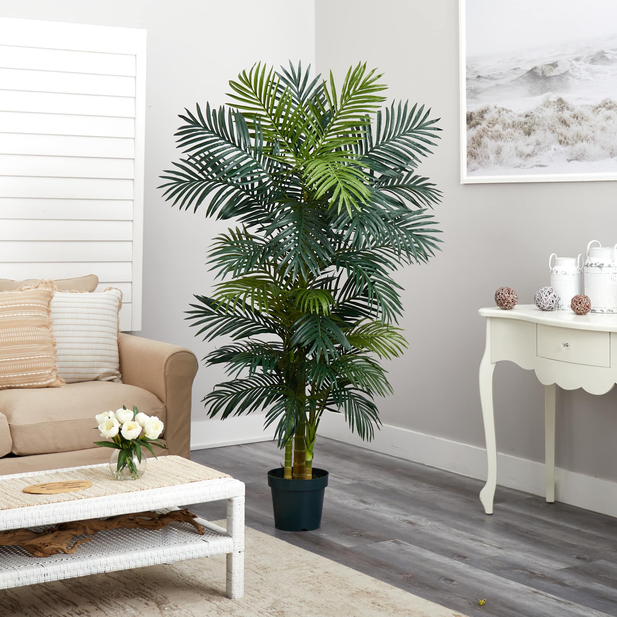 6.5ft. Potted Golden Cane Palm Tree