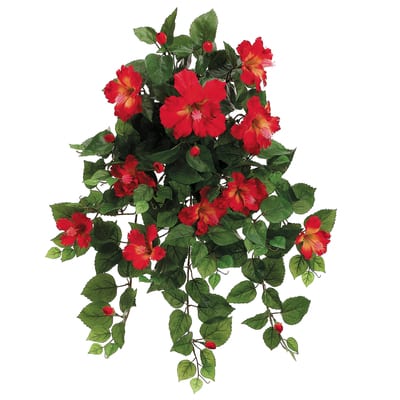 Tomato Red Hibiscus Hanging Bush | Michaels