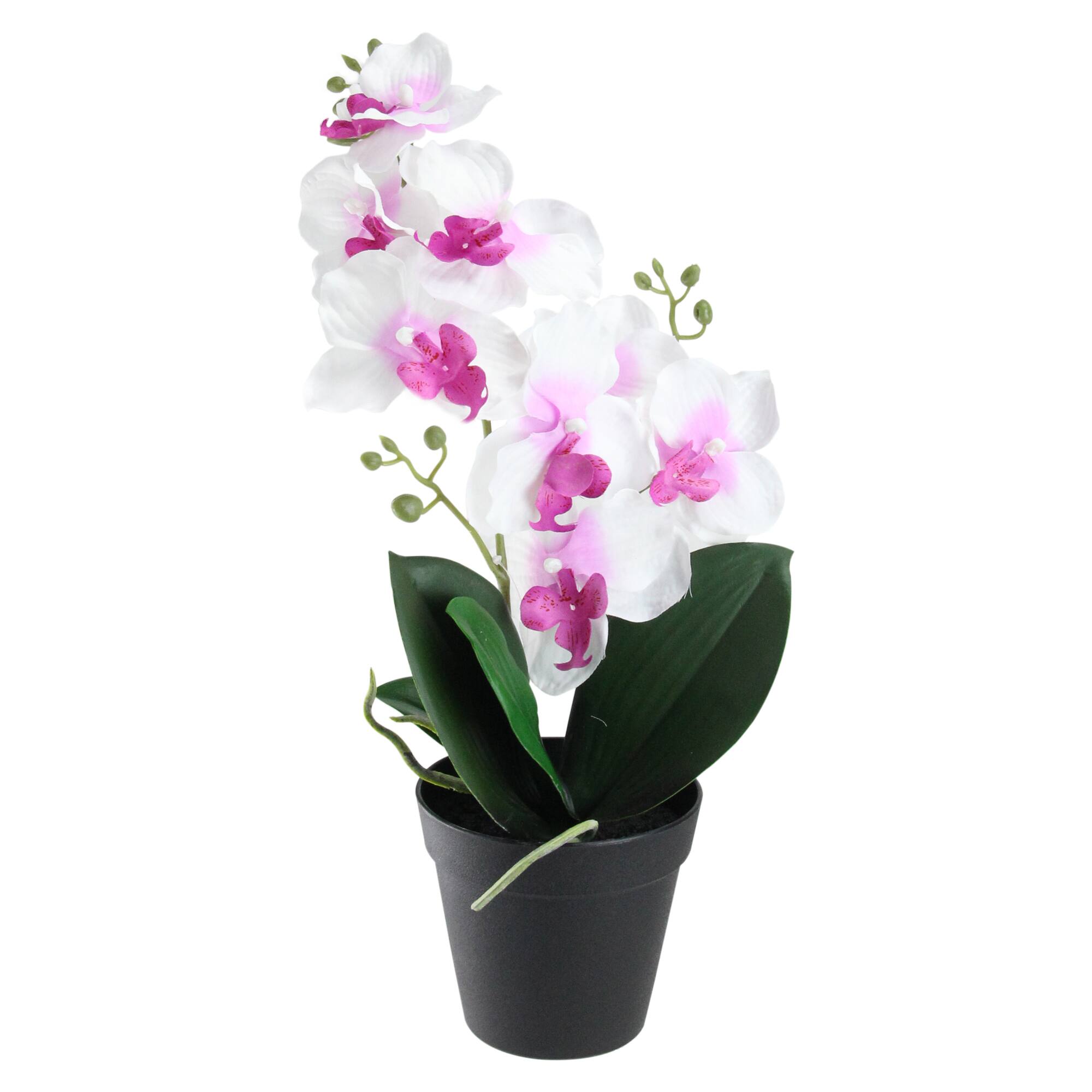 White & Pink Artificial Flowering Potted Tropical Orchid Michaels