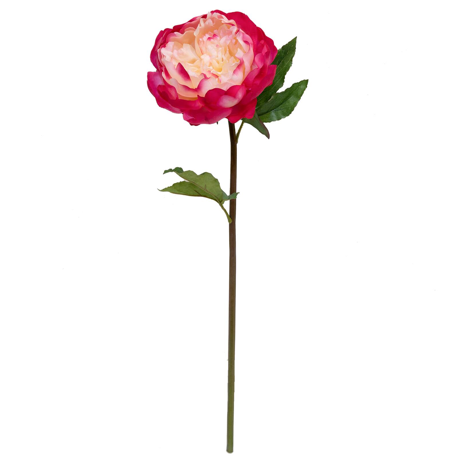 Buy the King Peony Stem By Ashland® at Michaels