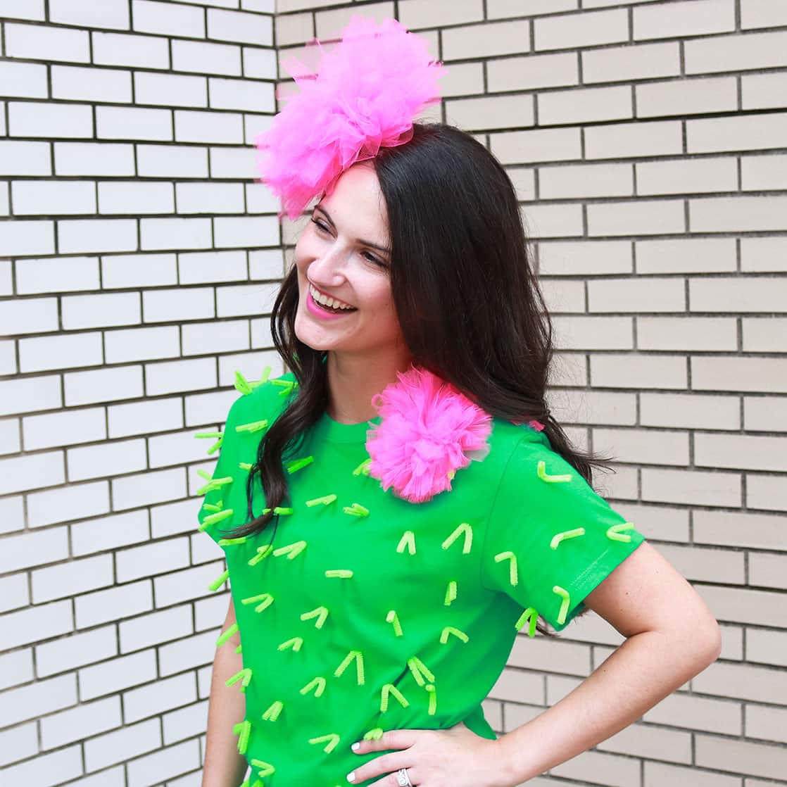 Cactus T-Shirt Costume, Projects