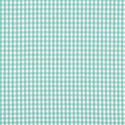 1/8" Mint Green Gingham