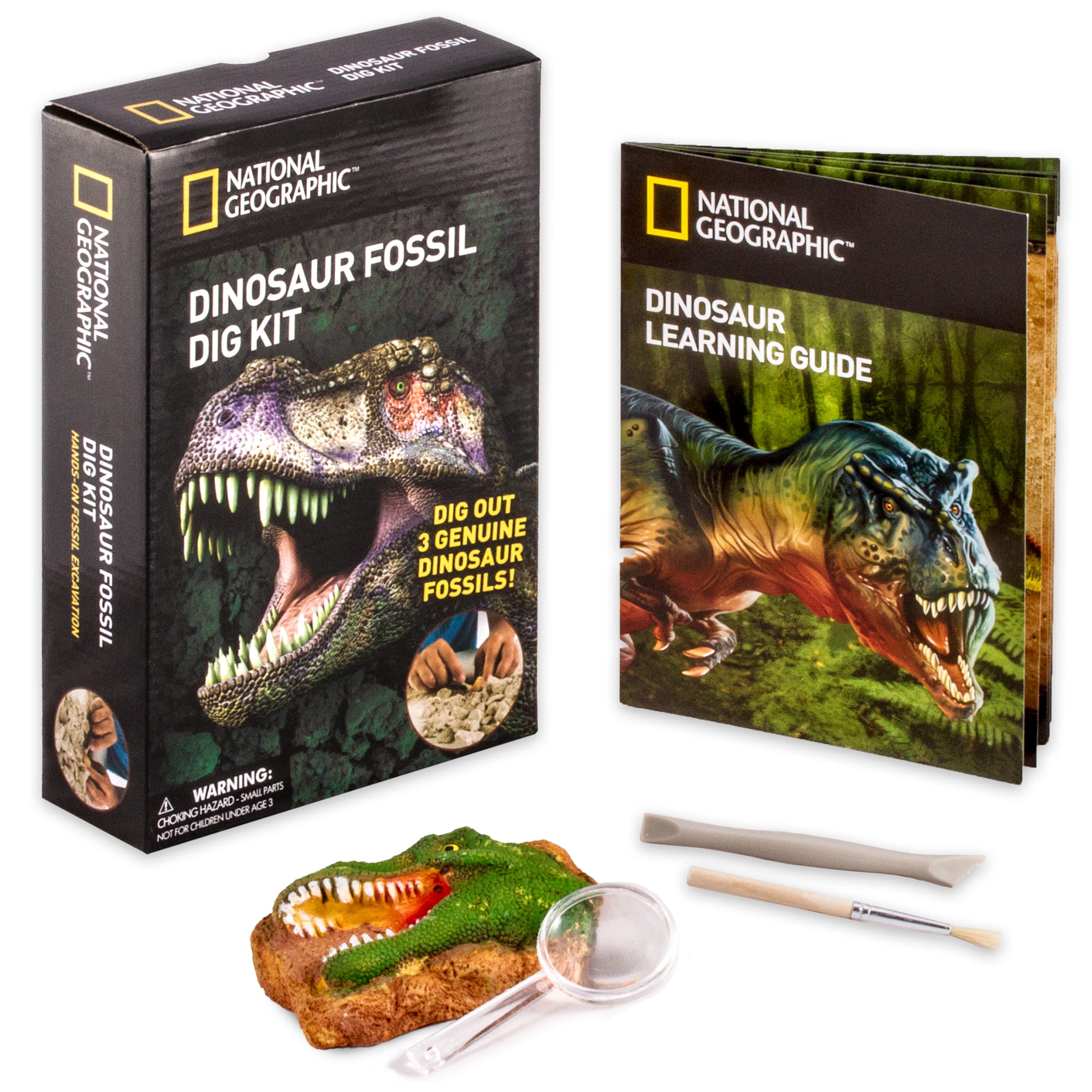 12 Pack: National Geographic&#x2122; Dinosaur Fossil Dig Kit