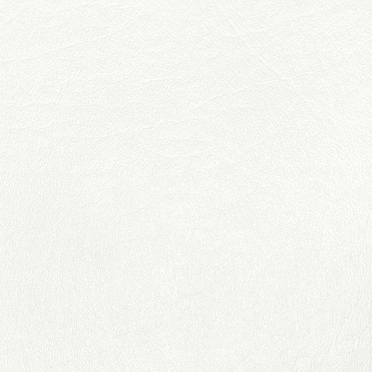 Floridian White Vinyl