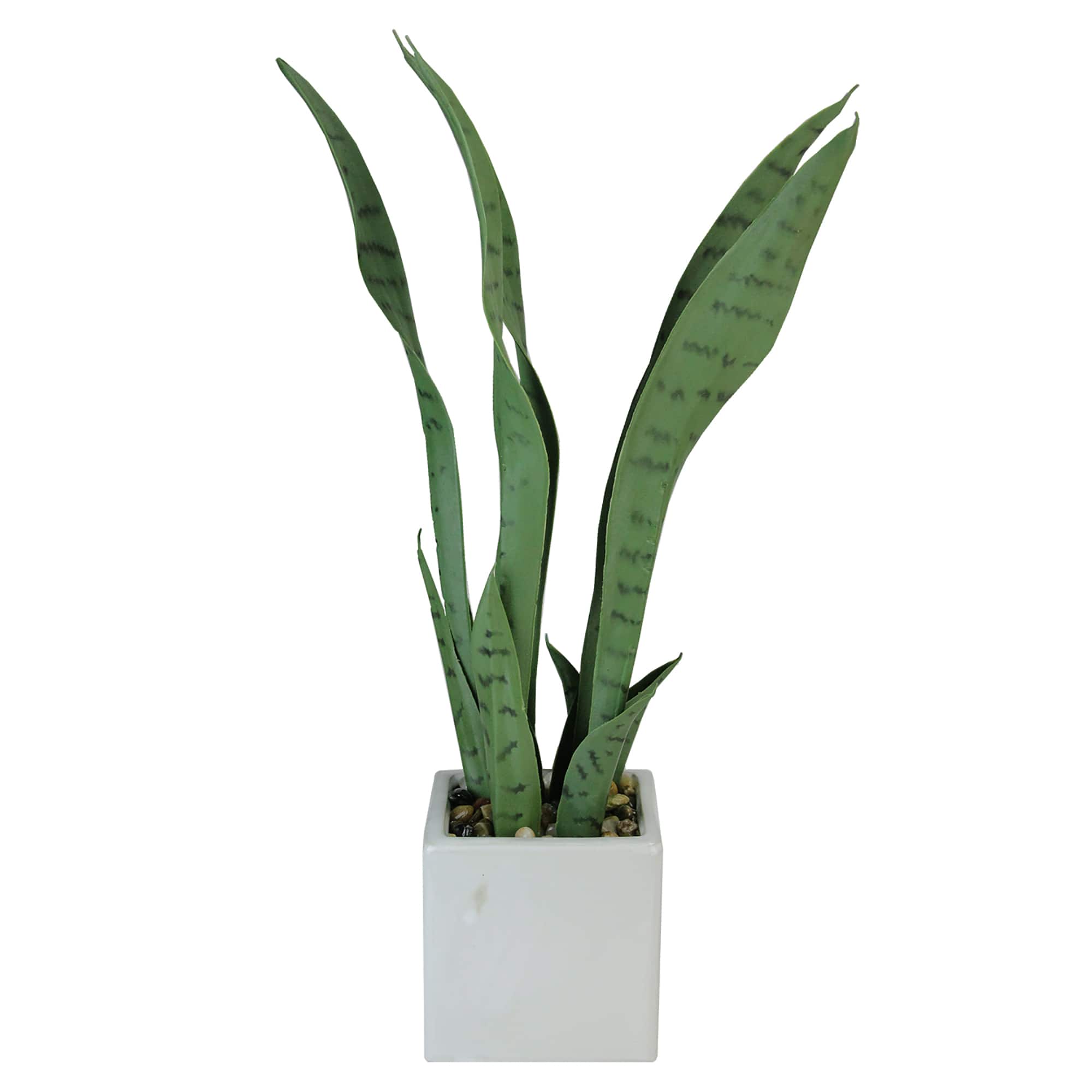 21" Green Artificial Succulent in White Square Pot